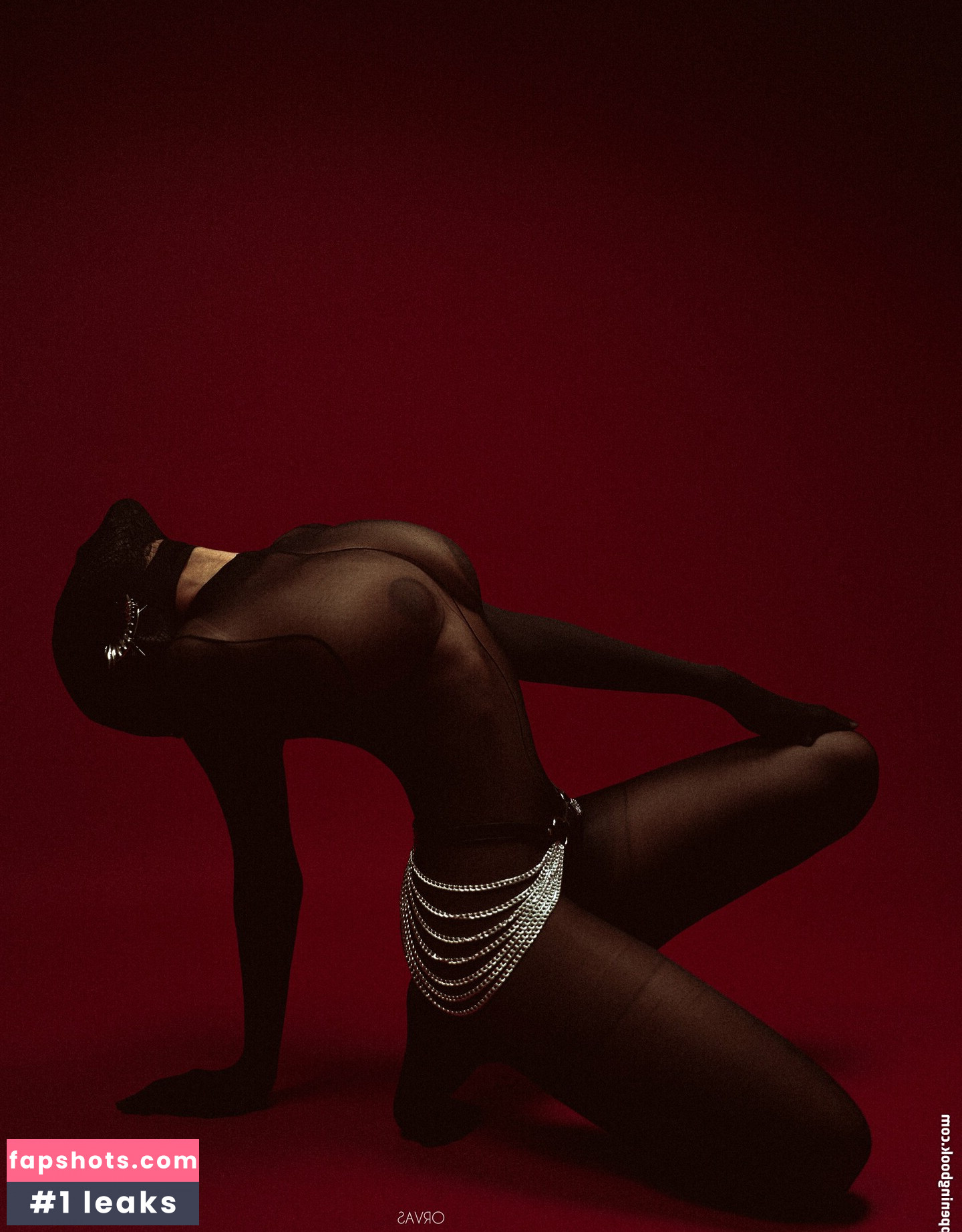 Debochan gallery photo #9