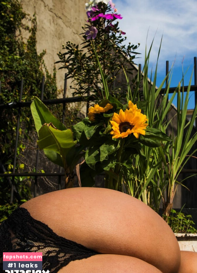 Débora Porto gallery photo #66