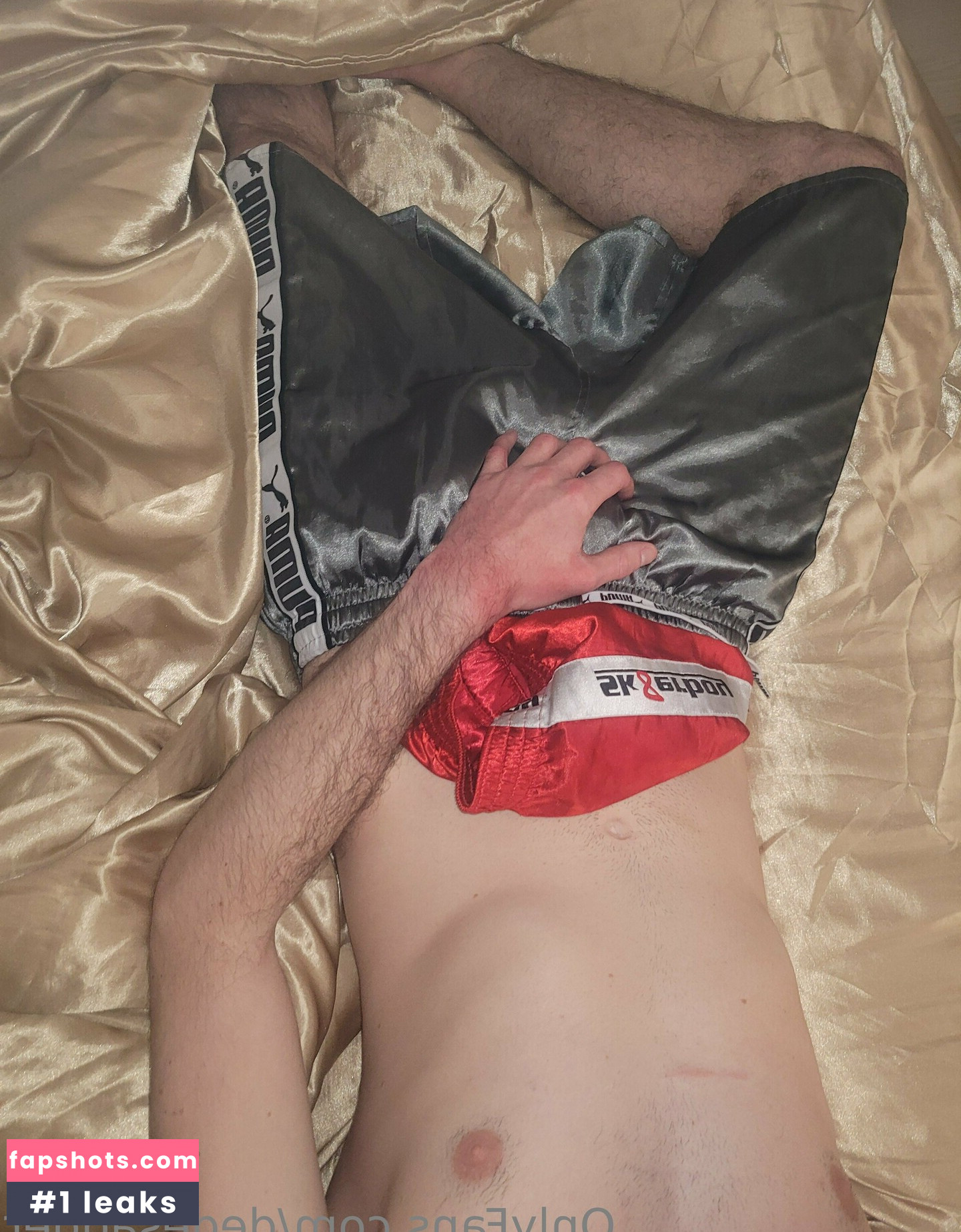 dedesagger gallery photo #4