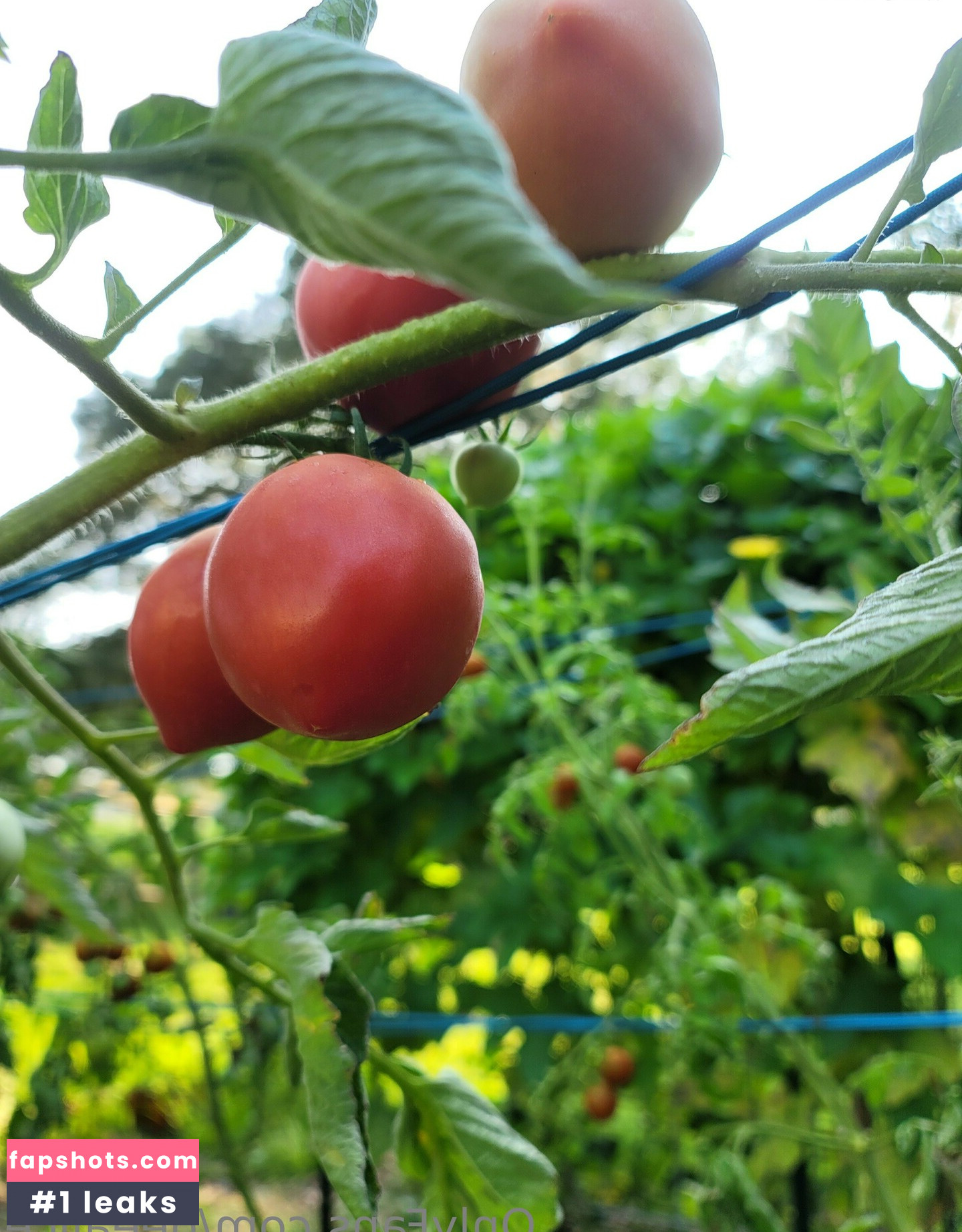deealice Nahé úniky fotek pouze od fanoušků #29 - Fapshots