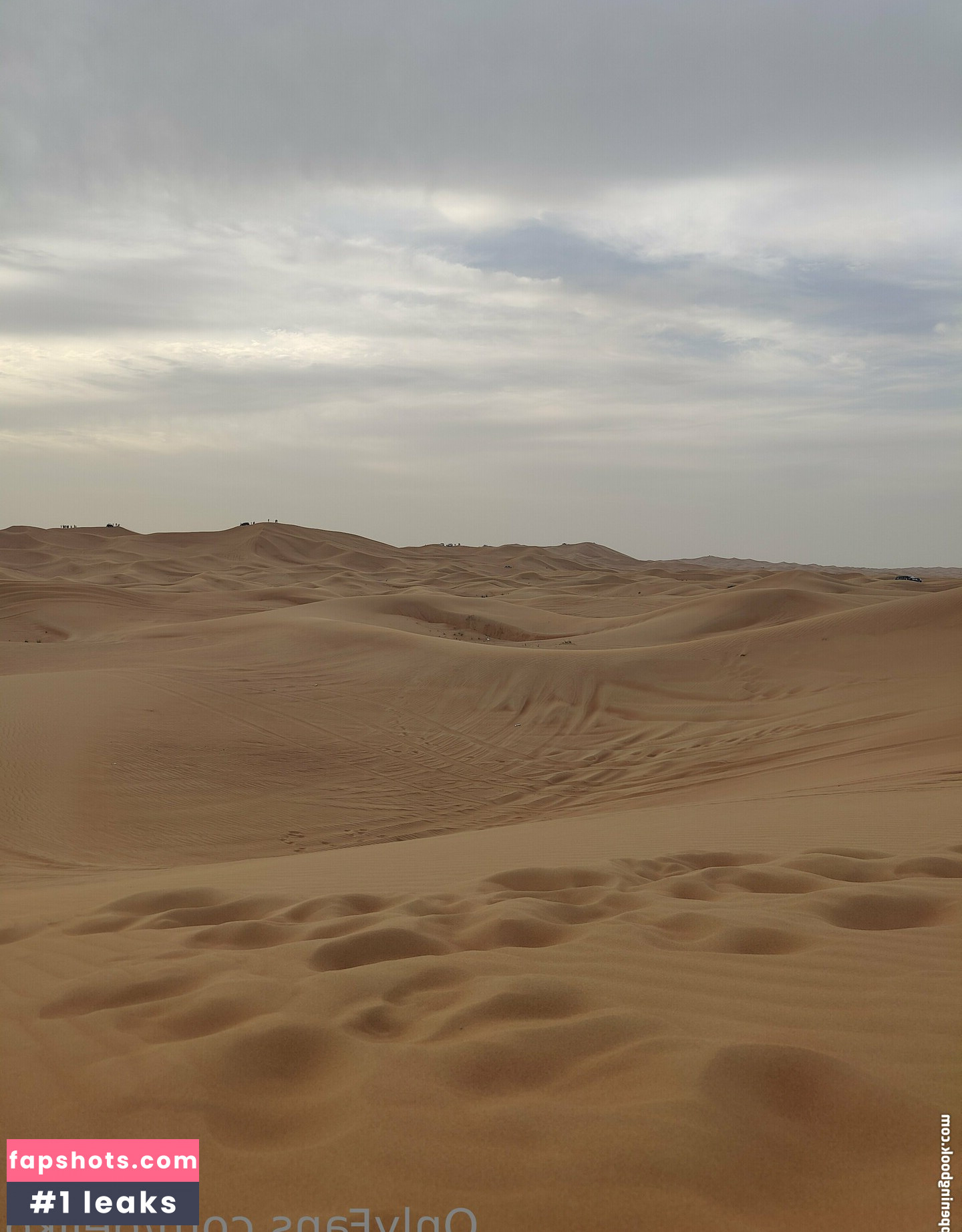 dejiko gallery photo #19