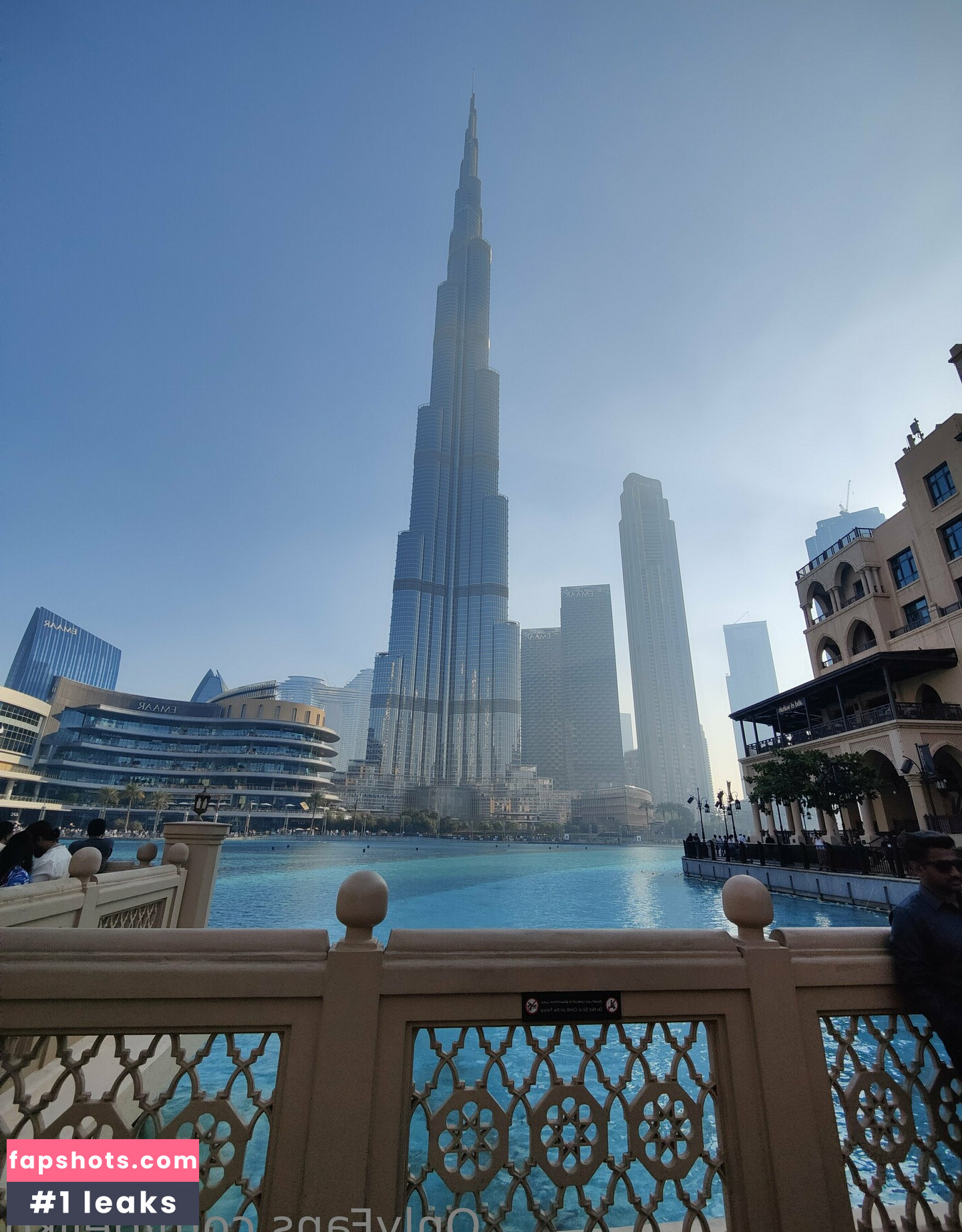 dejiko gallery photo #8