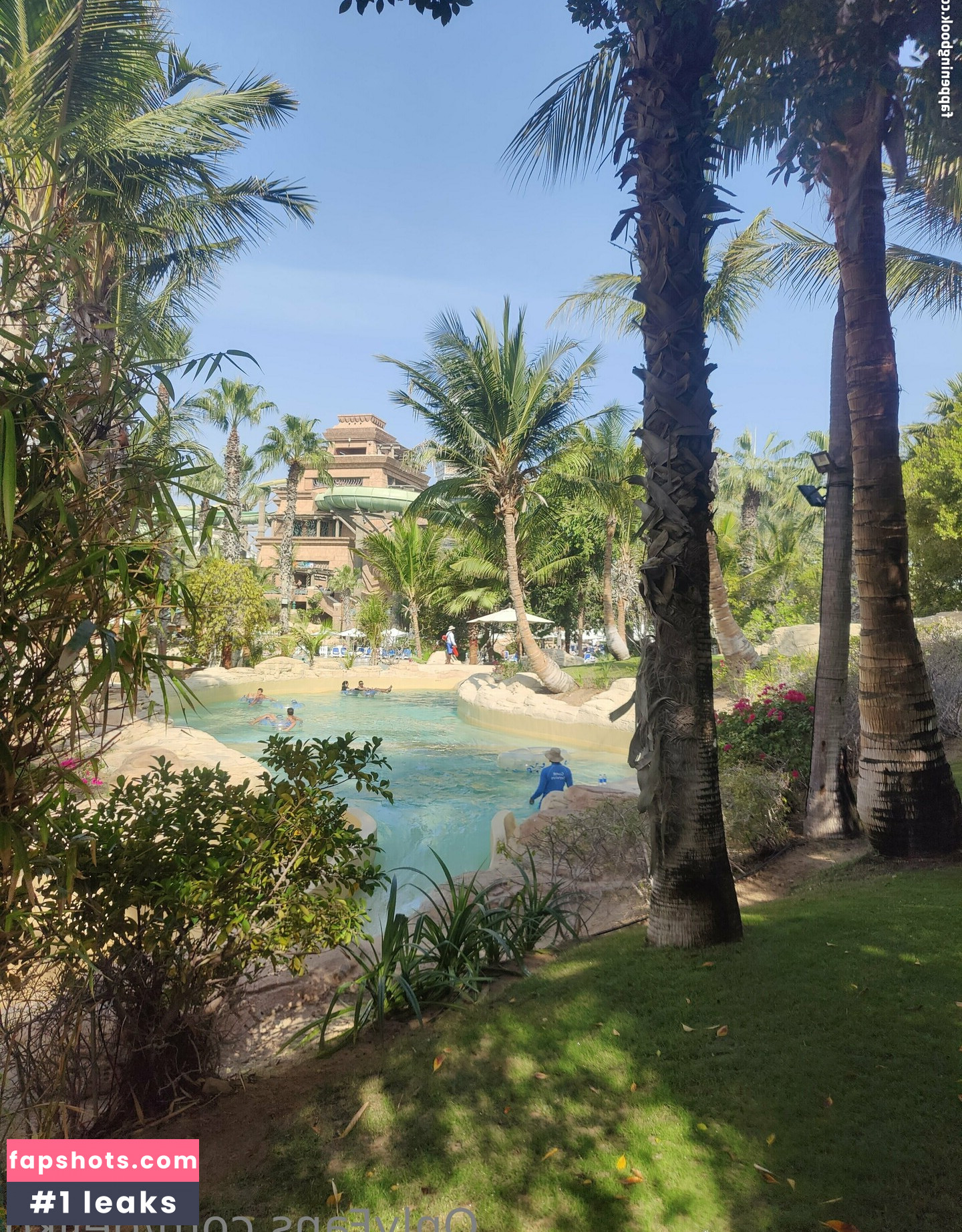 dejiko gallery photo #10