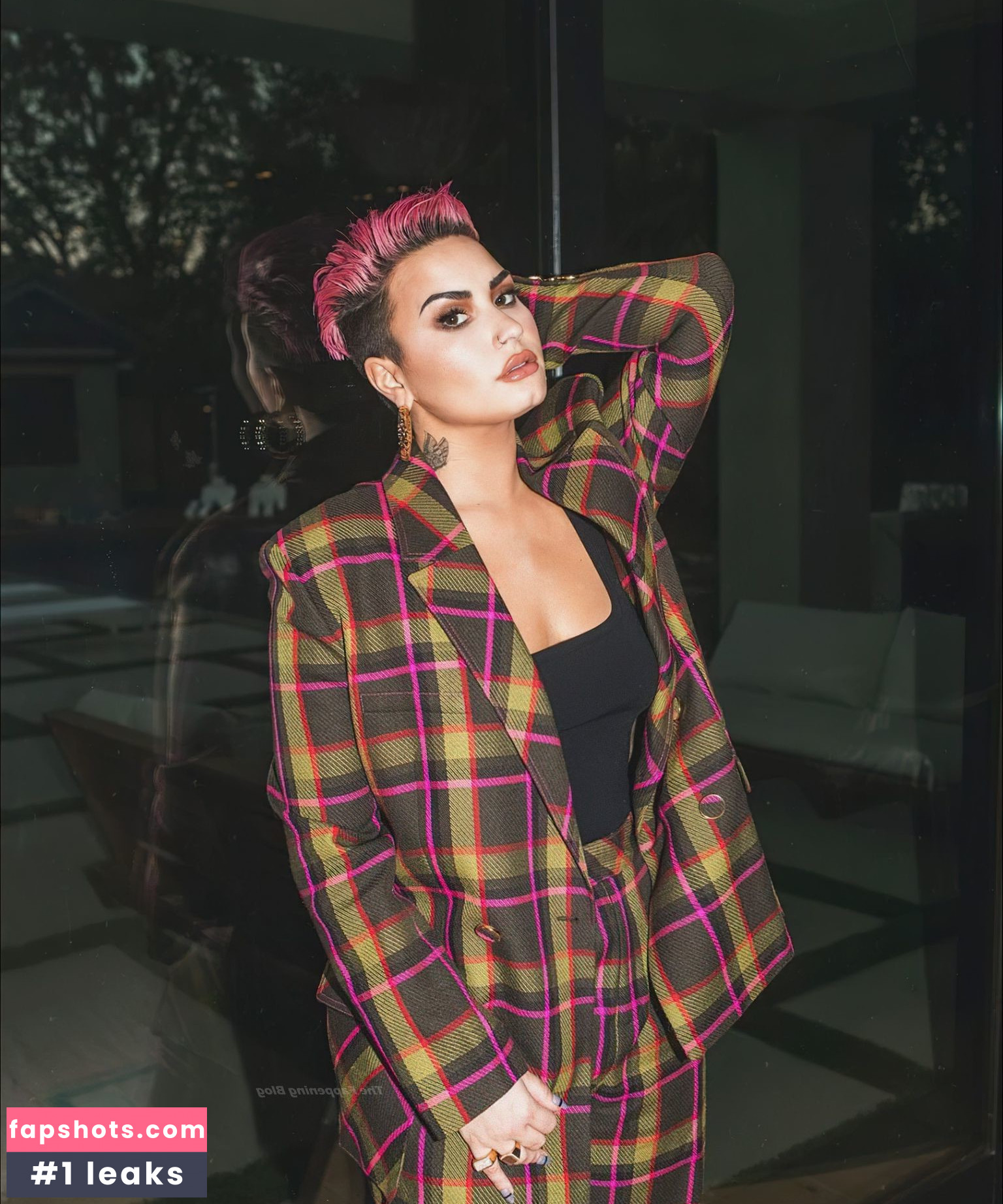 Demi Lovato gallery photo #1058