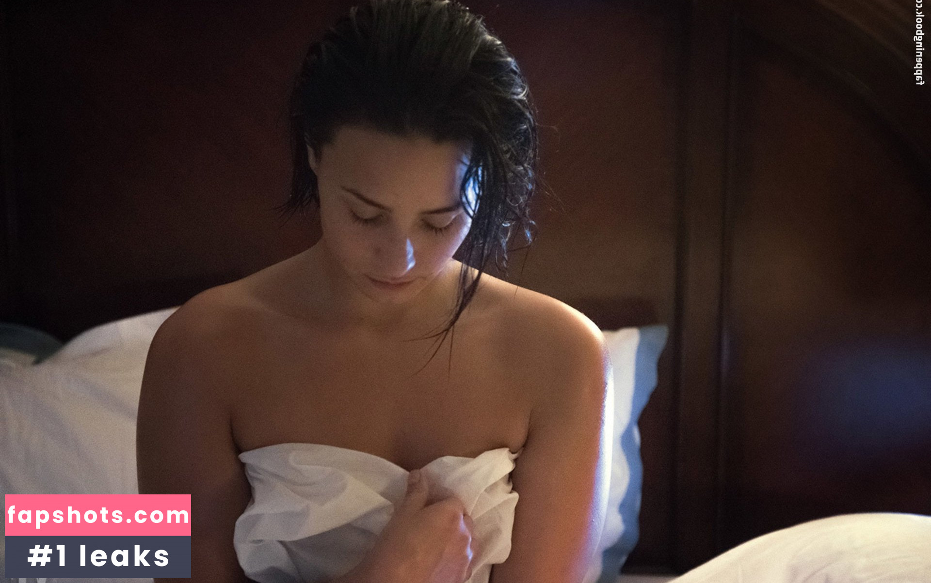 Demi Lovato gallery photo #1237