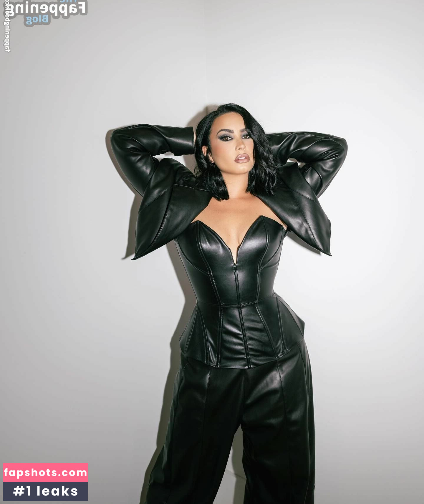 Demi Lovato gallery photo #210