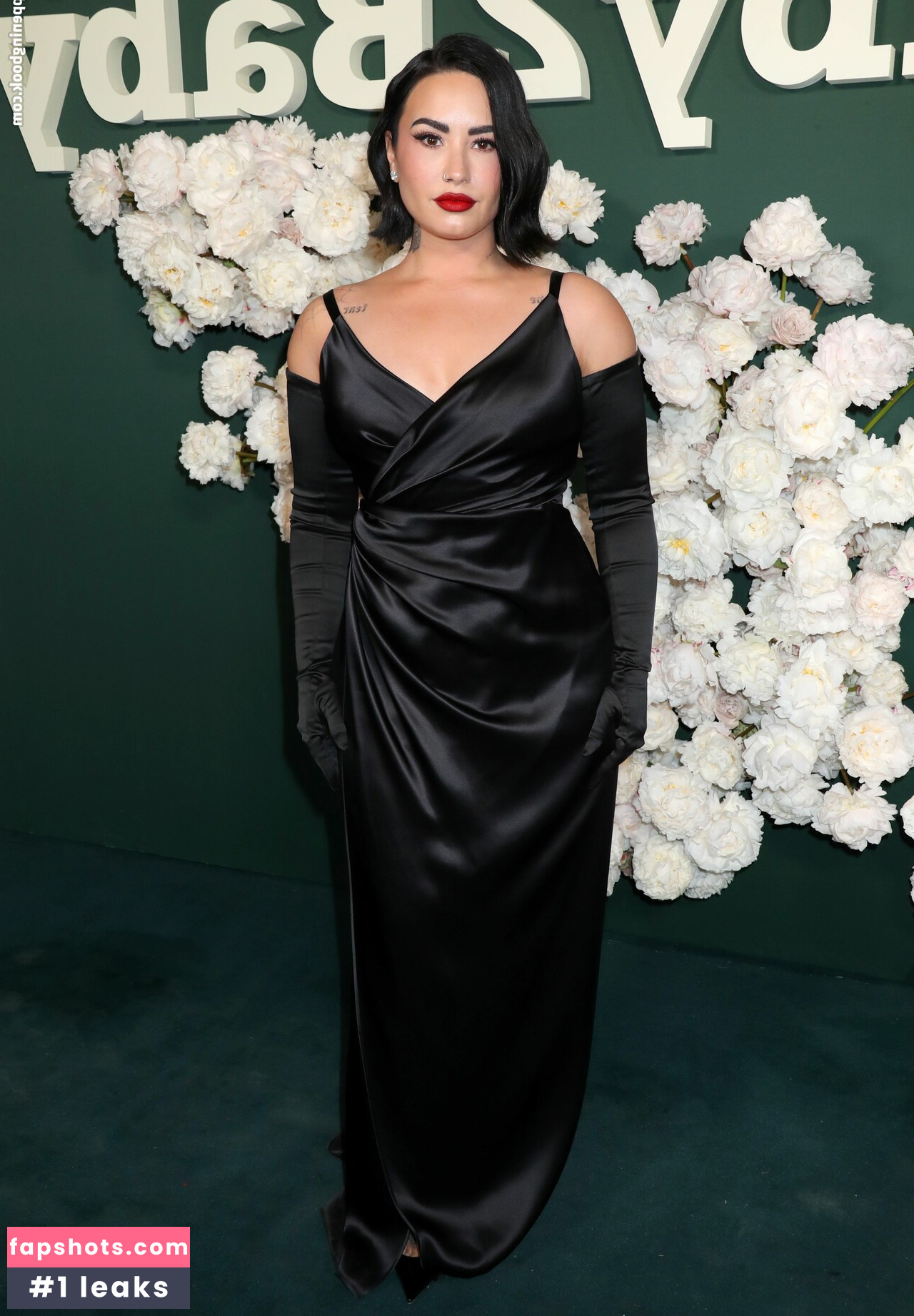 Demi Lovato gallery photo #305