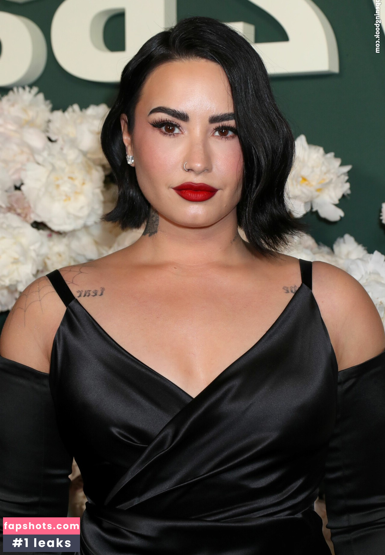 Demi Lovato gallery photo #306