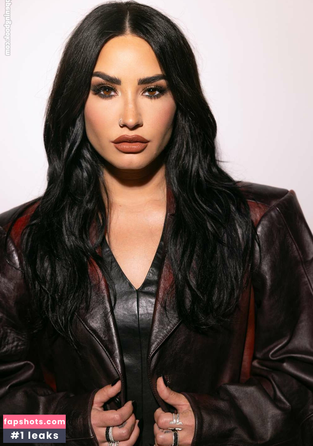 Demi Lovato gallery photo #325