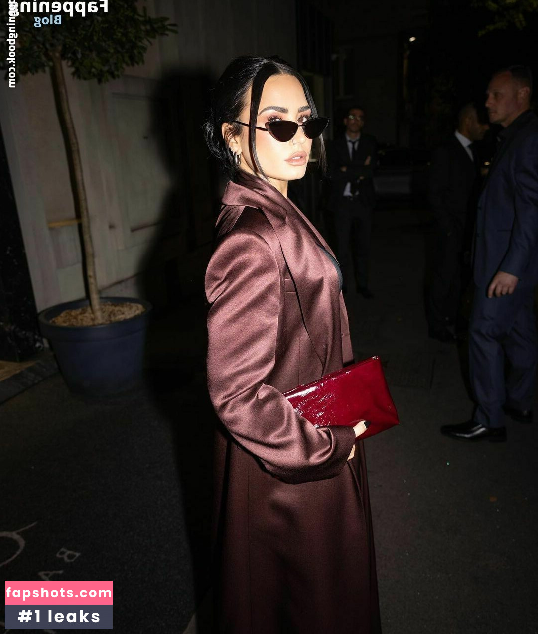 Demi Lovato gallery photo #343