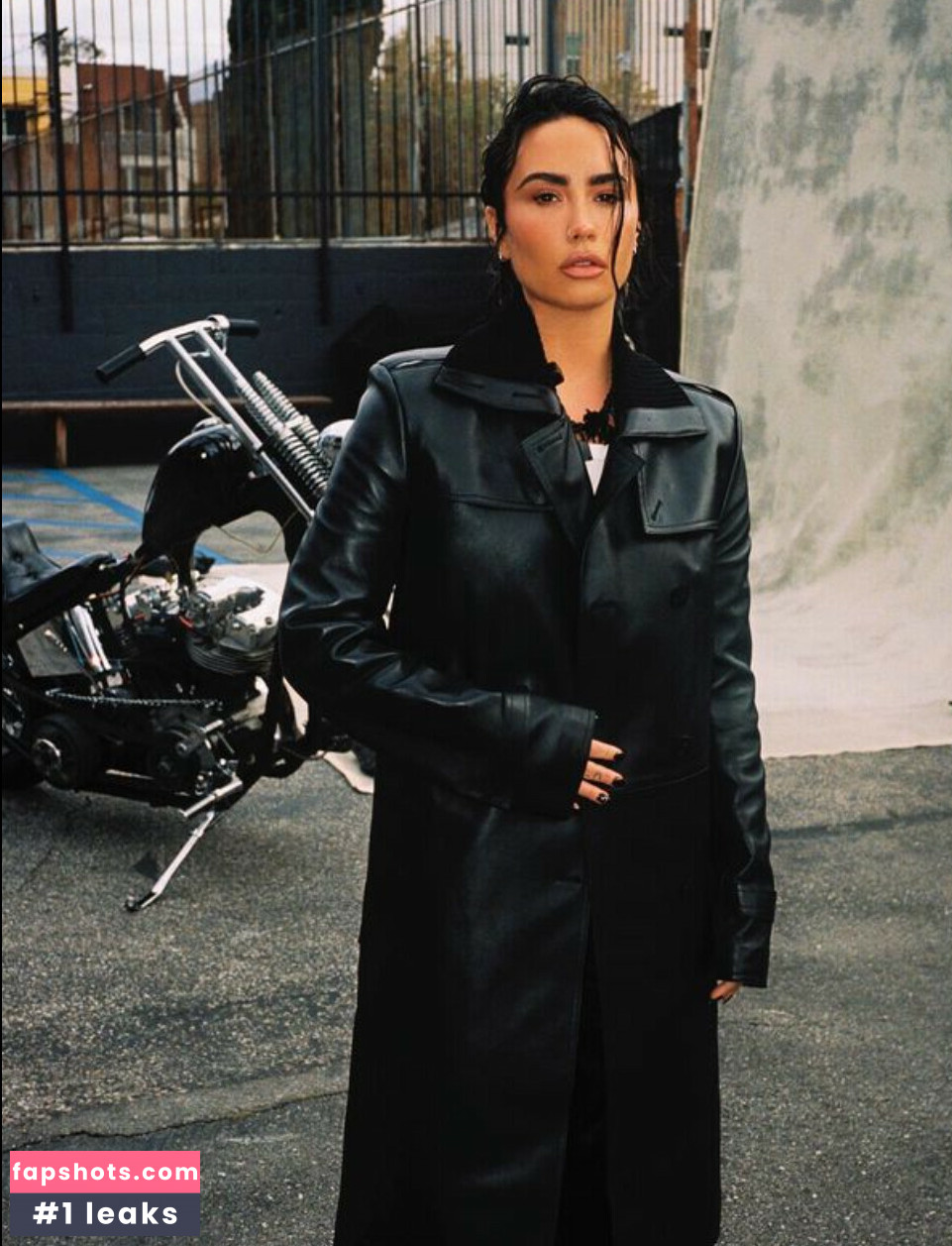 Demi Lovato gallery photo #391