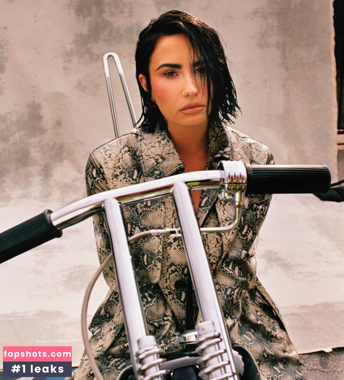 Demi Lovato gallery photo #394