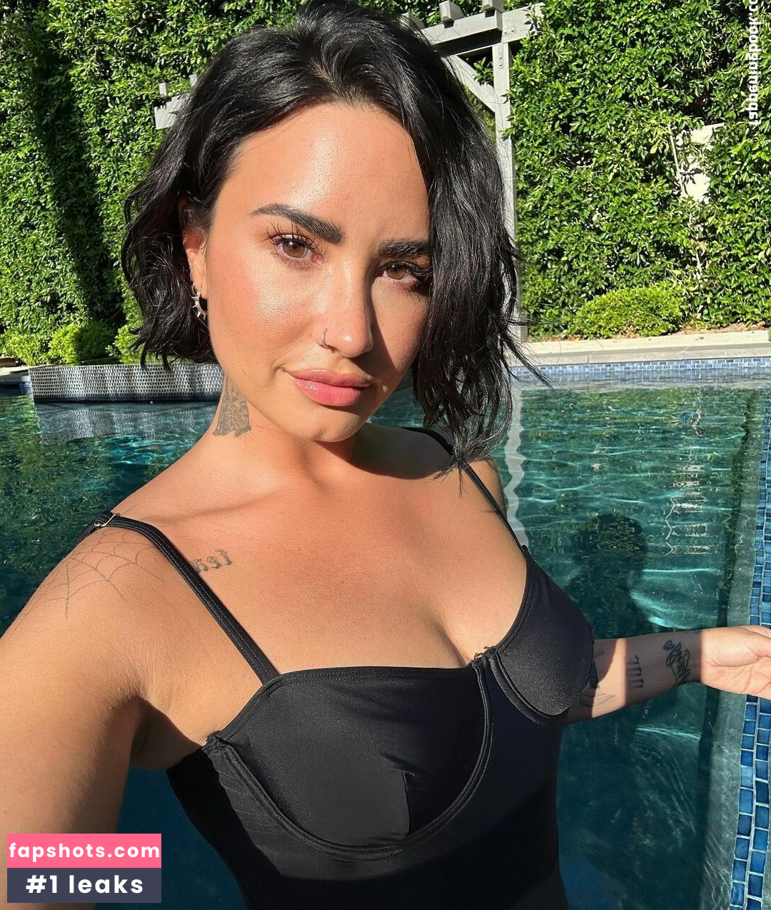 Demi Lovato gallery photo #414