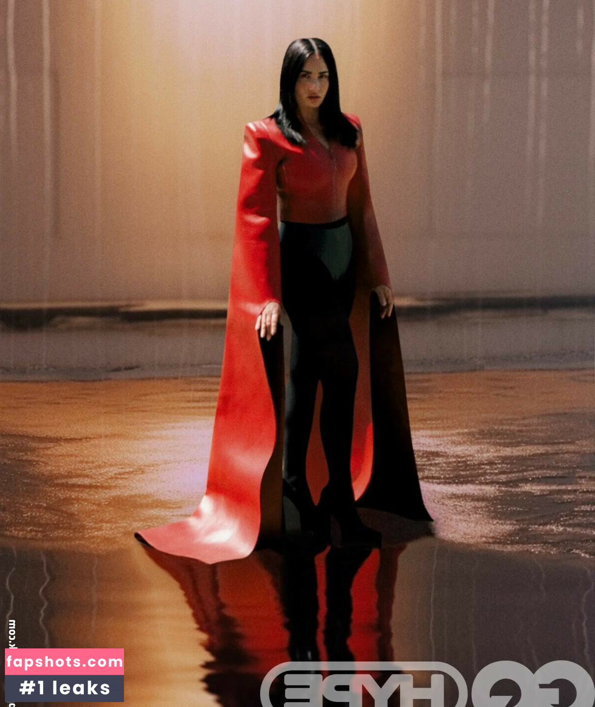 Demi Lovato gallery photo #440