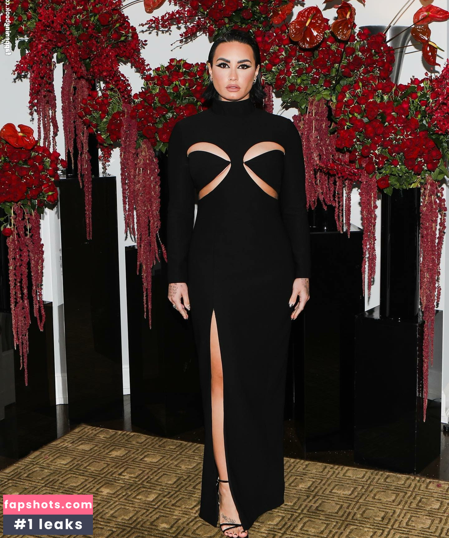 Demi Lovato gallery photo #465