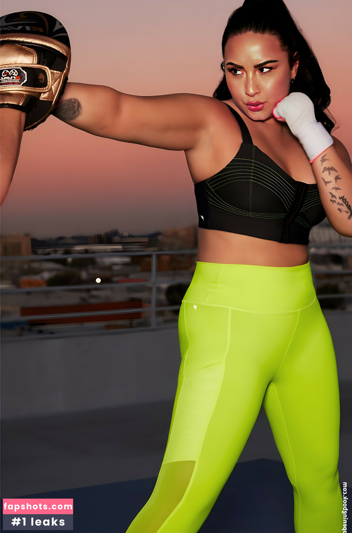 Demi Lovato gallery photo #493