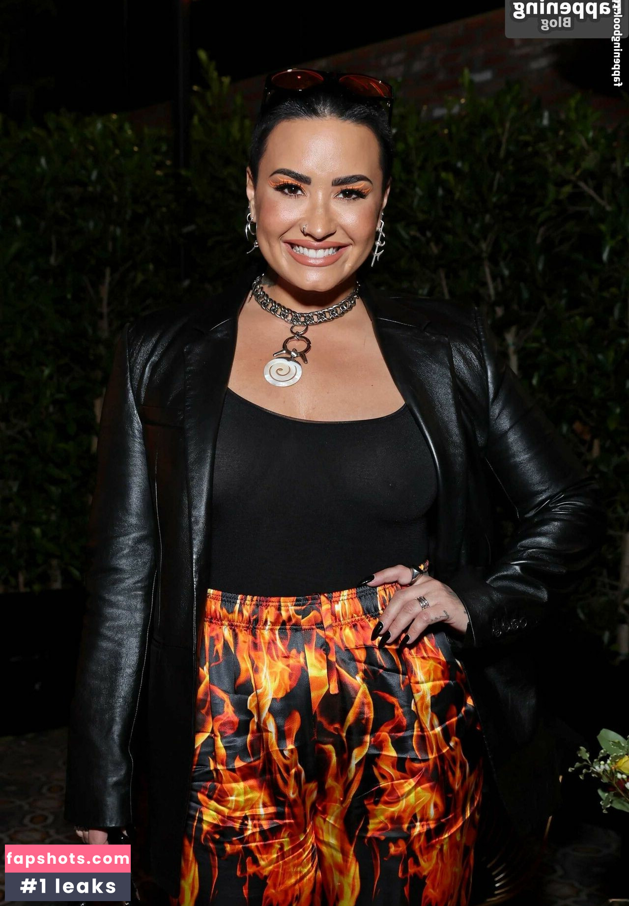 Demi Lovato gallery photo #509