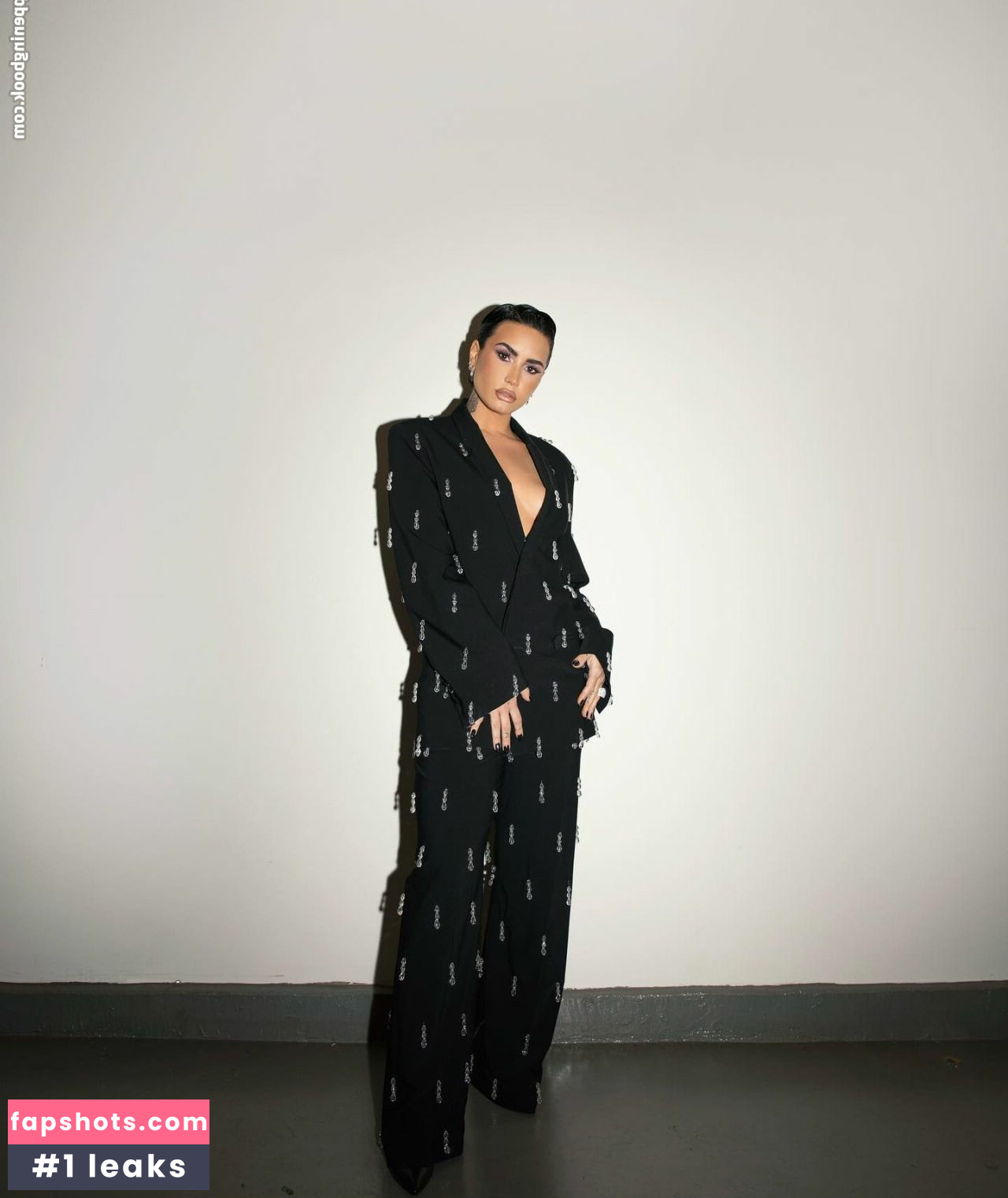 Demi Lovato gallery photo #524