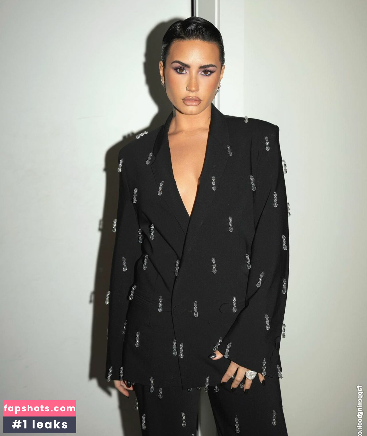 Demi Lovato gallery photo #527