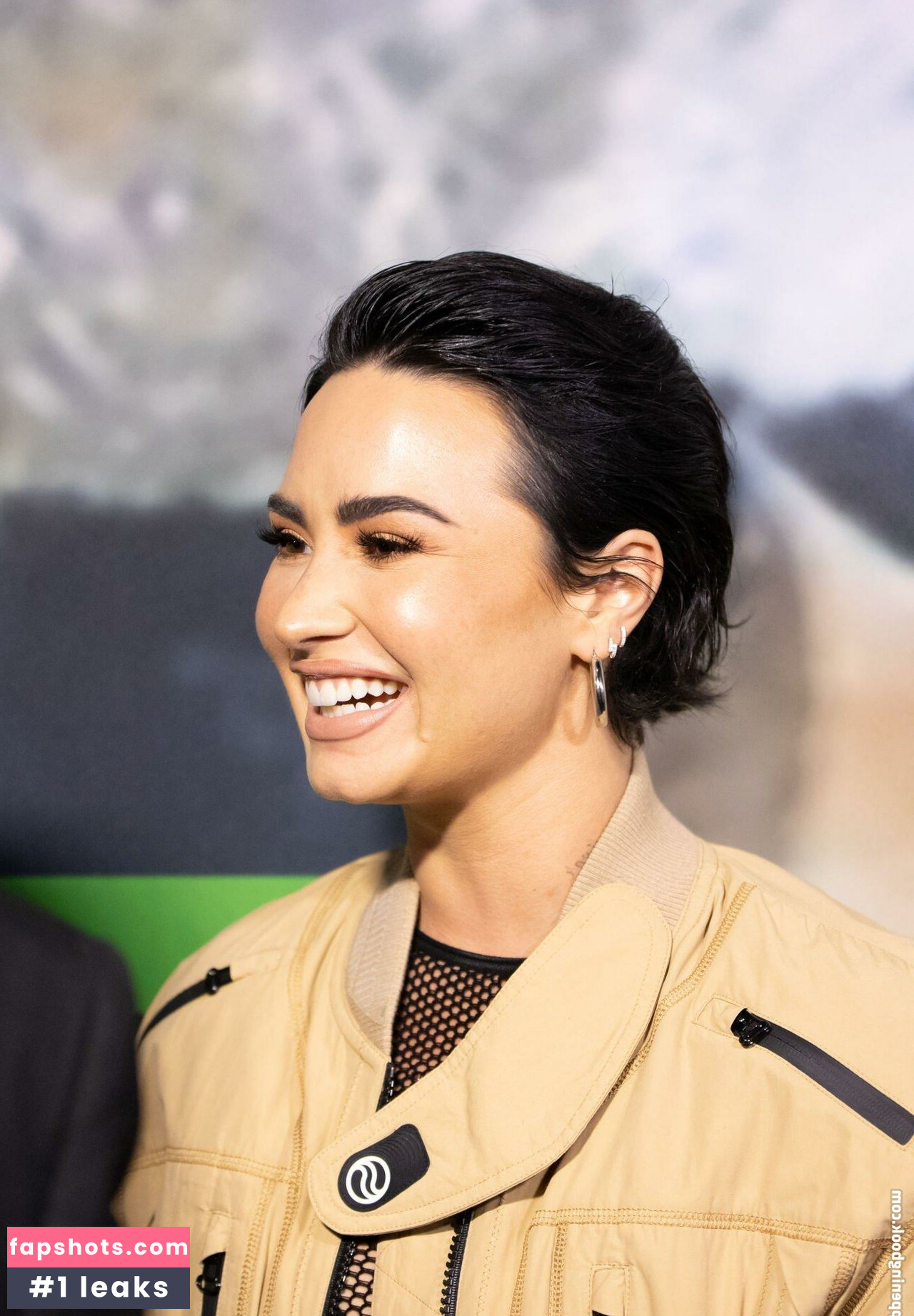 Demi Lovato gallery photo #528