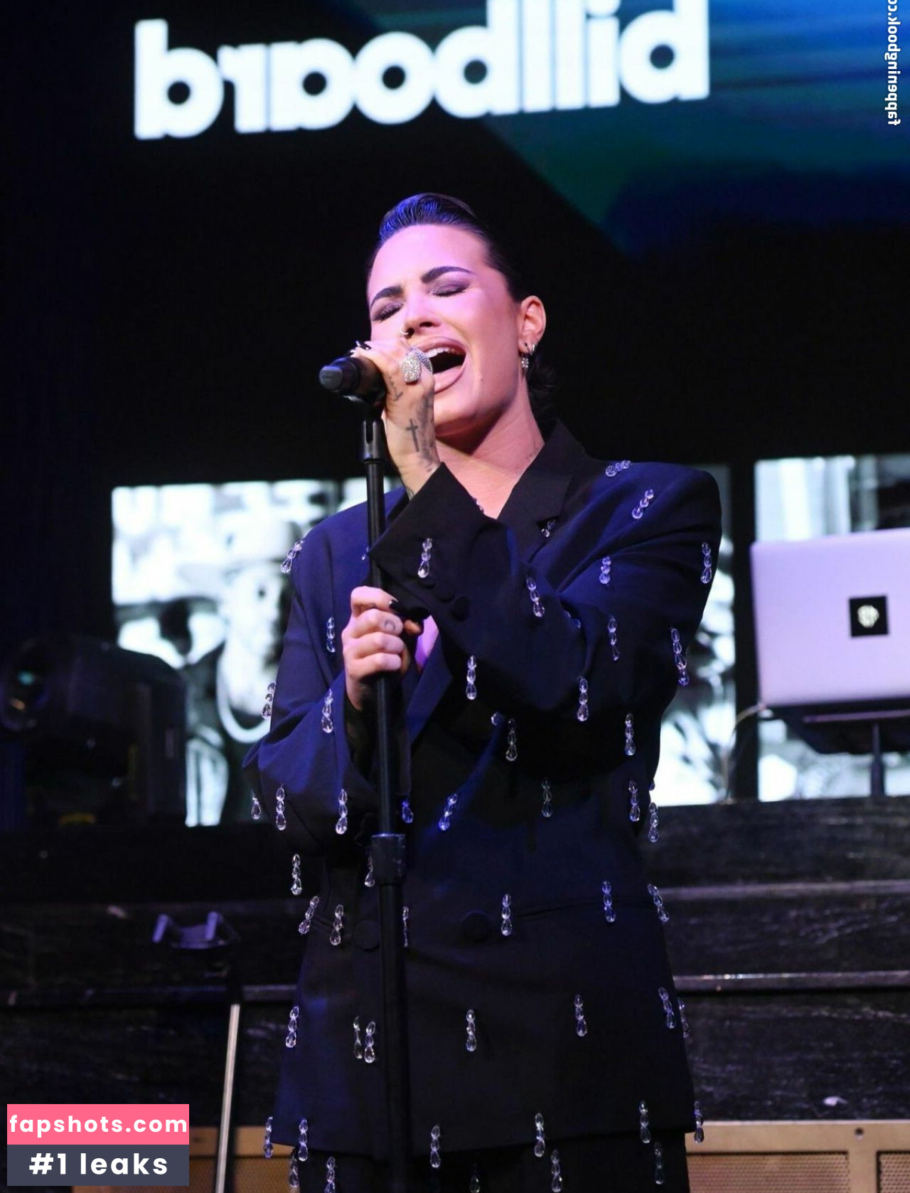 Demi Lovato gallery photo #531