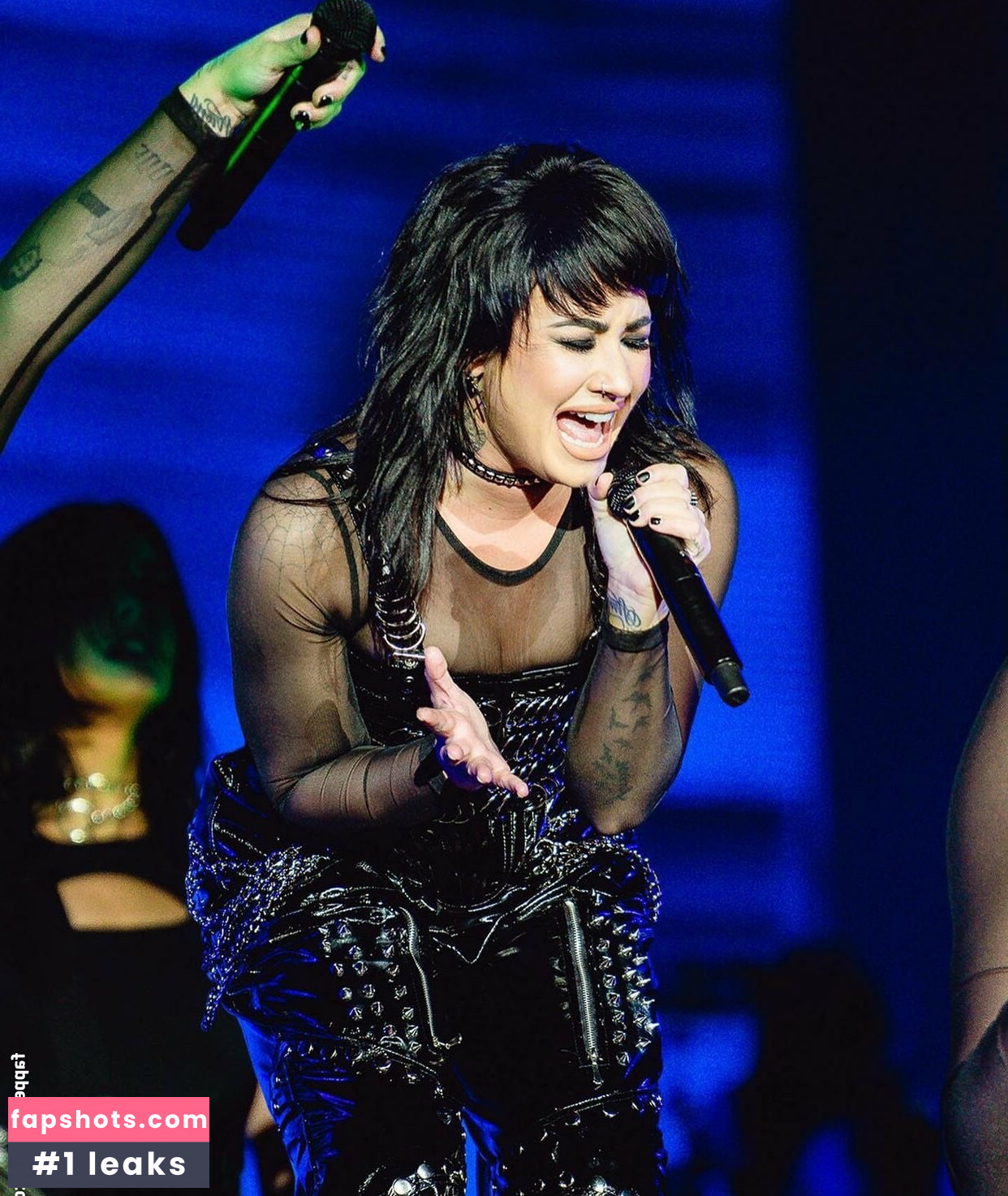 Demi Lovato gallery photo #590
