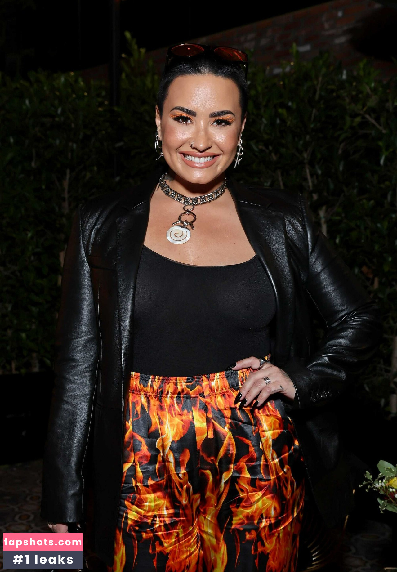 Demi Lovato gallery photo #645