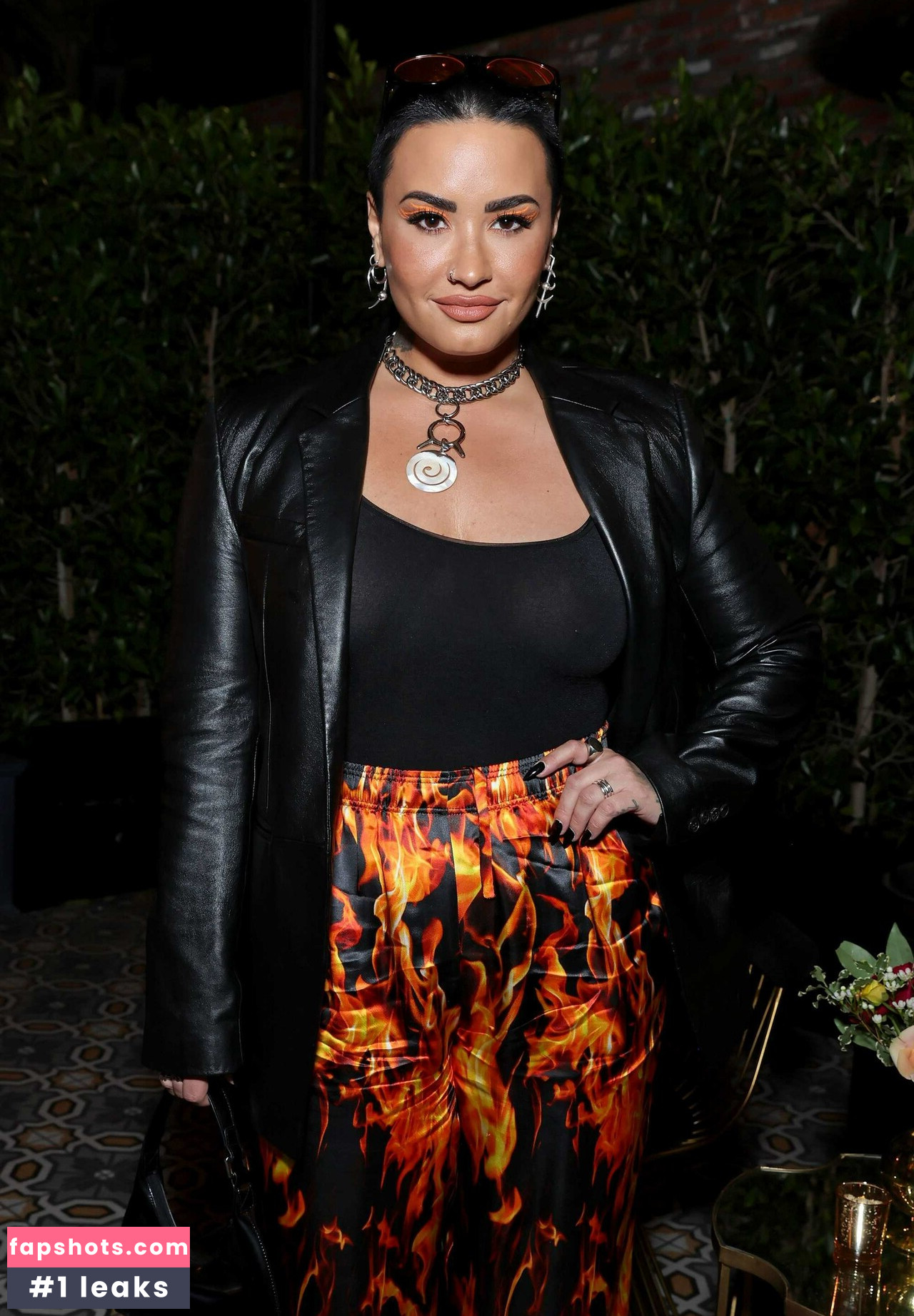 Demi Lovato gallery photo #647