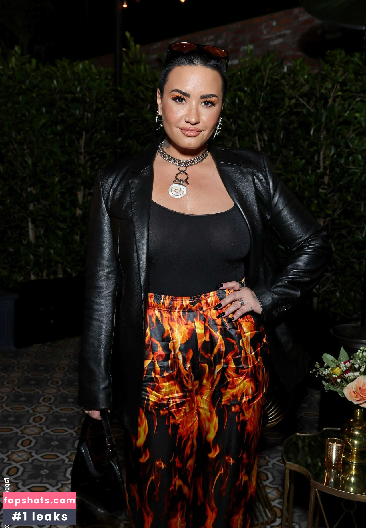 Demi Lovato gallery photo #648
