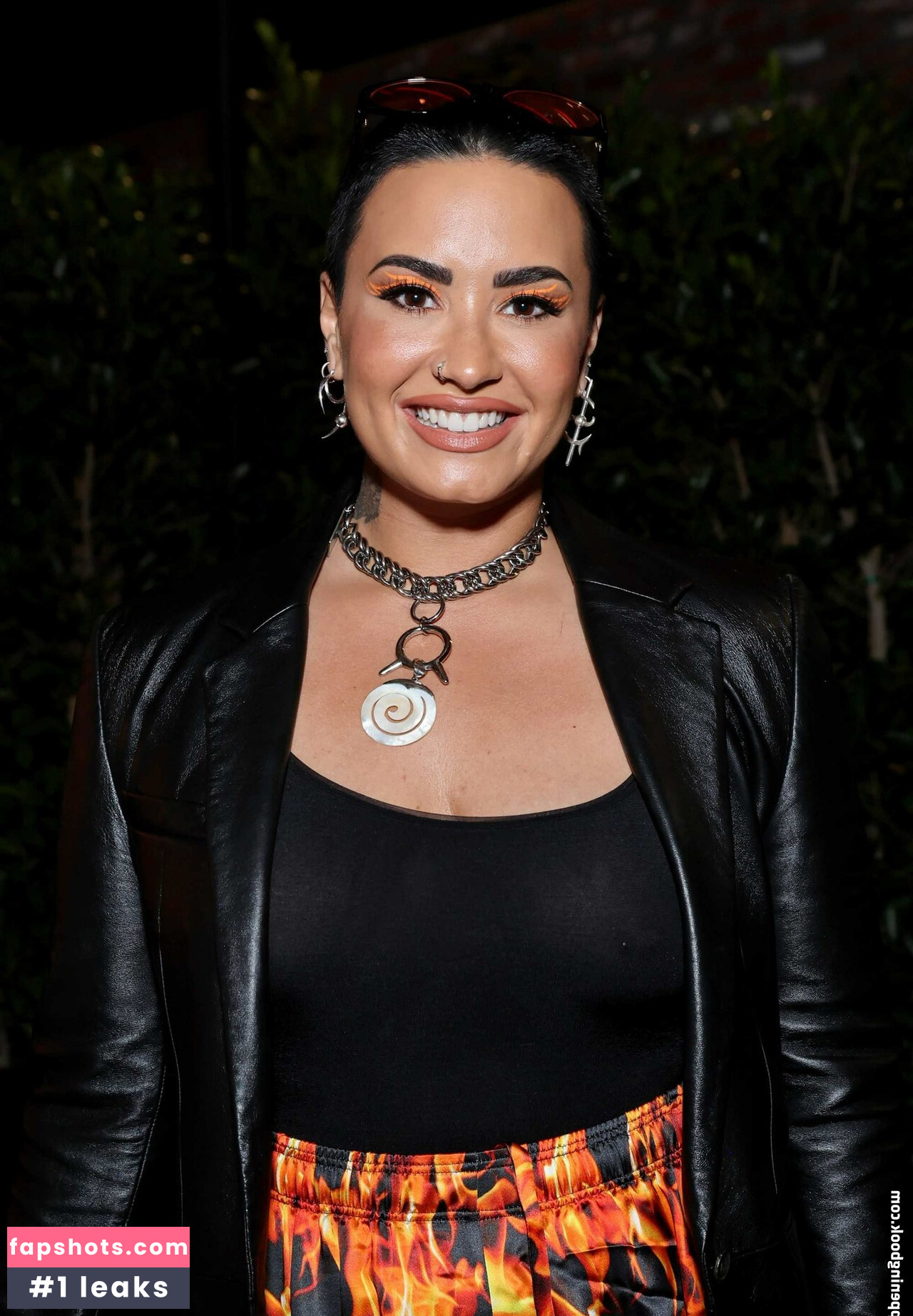 Demi Lovato gallery photo #652