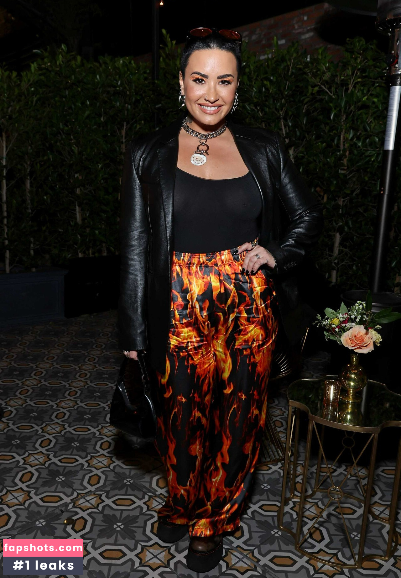 Demi Lovato gallery photo #653