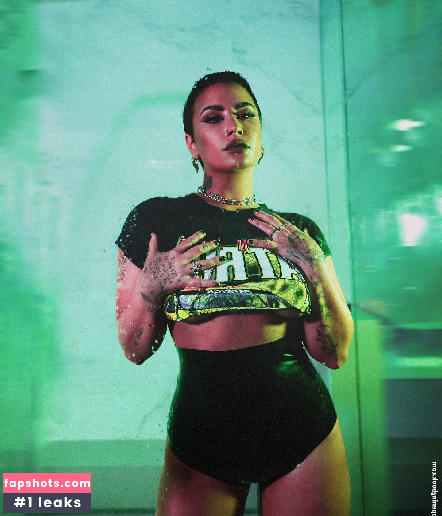 Demi Lovato gallery photo #679