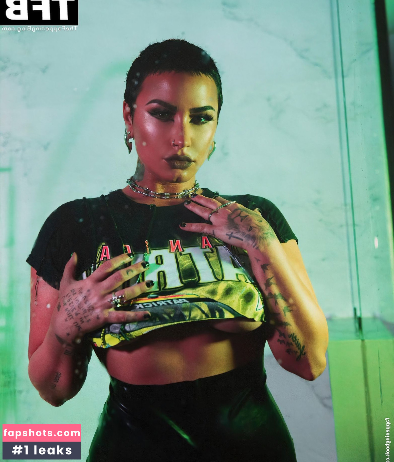 Demi Lovato gallery photo #733