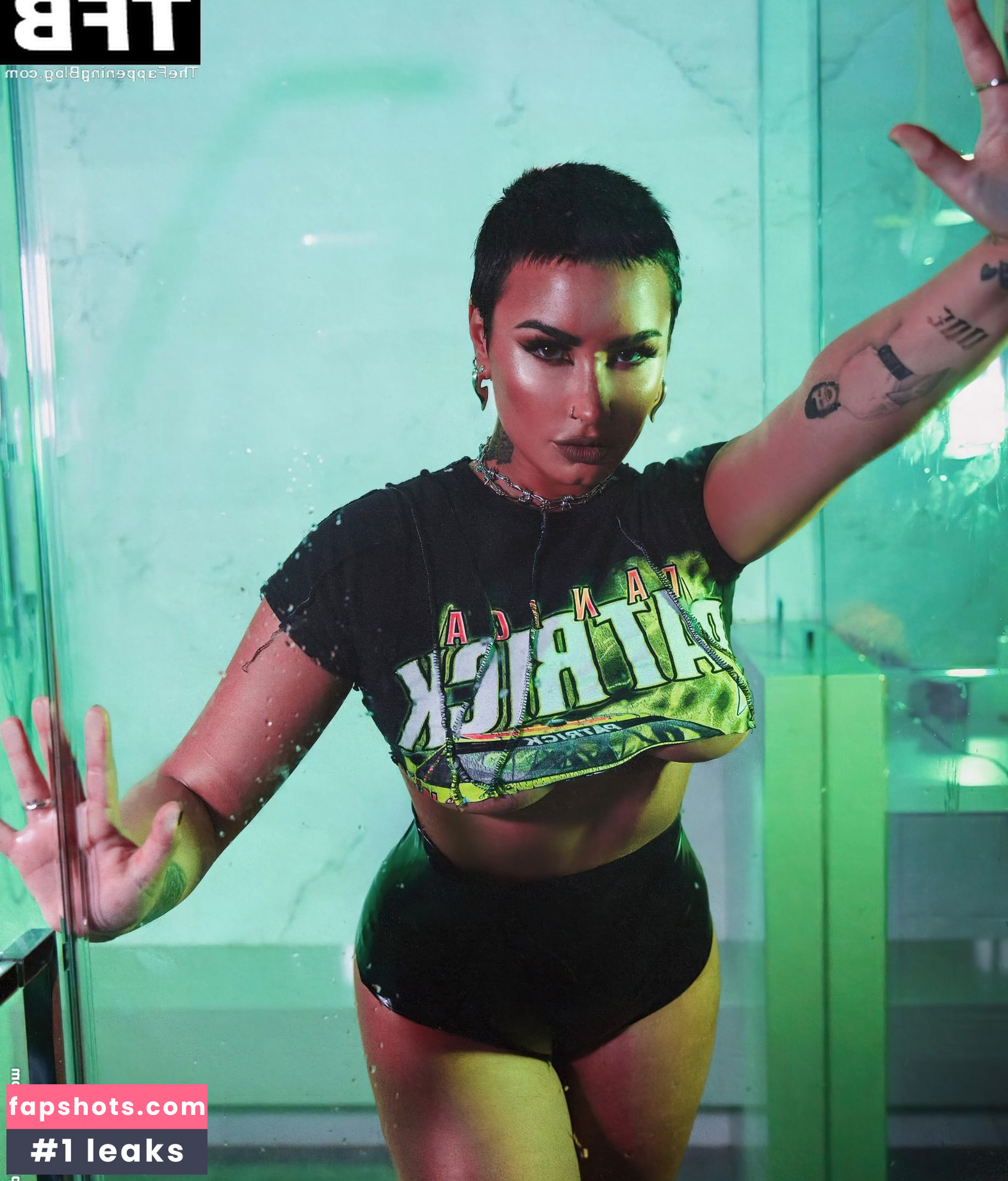 Demi Lovato gallery photo #735