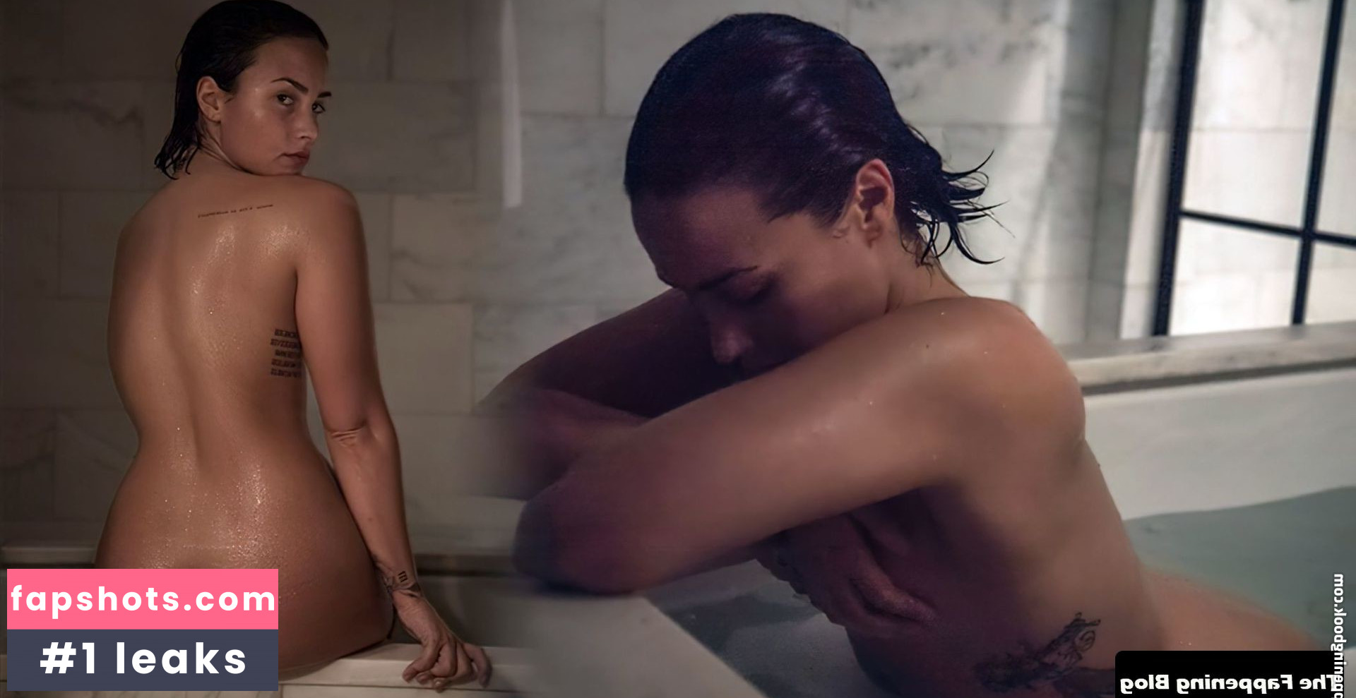 Demi Lovato gallery photo #849