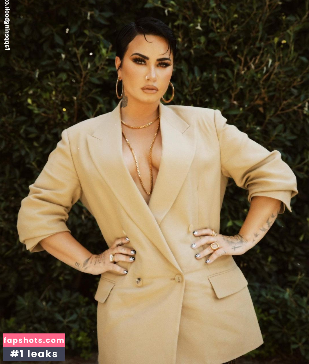 Demi Lovato gallery photo #857