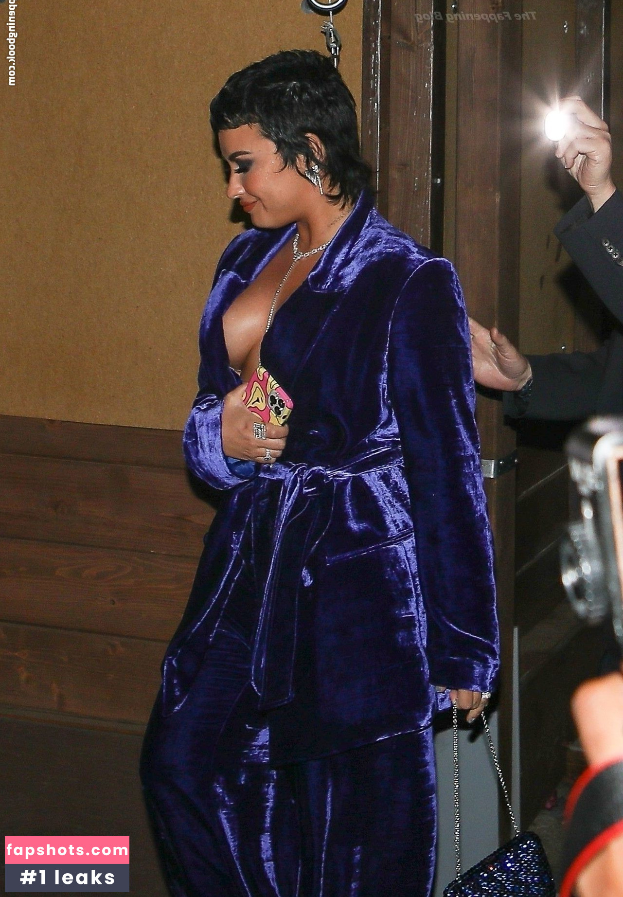 Demi Lovato gallery photo #878