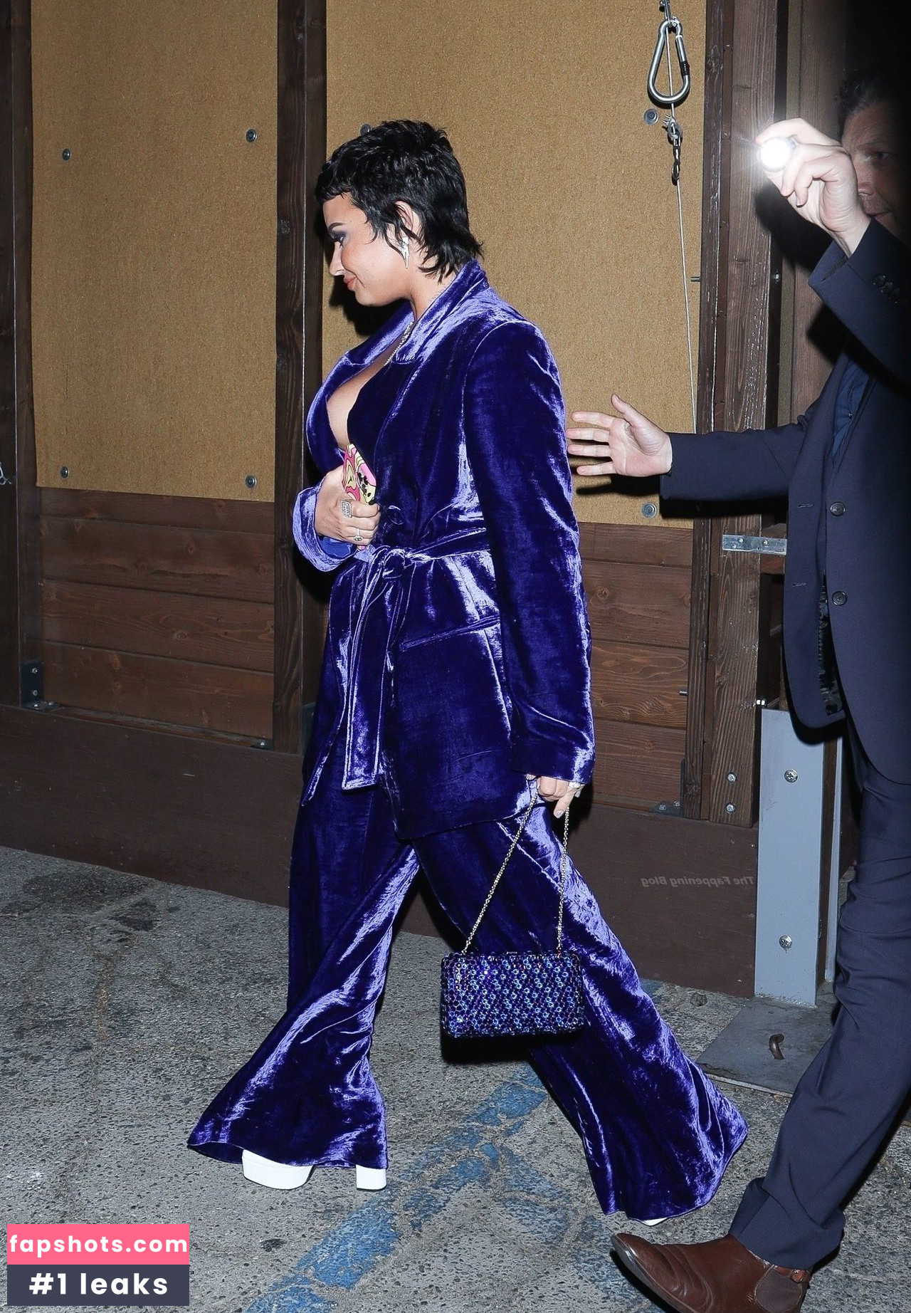 Demi Lovato gallery photo #879