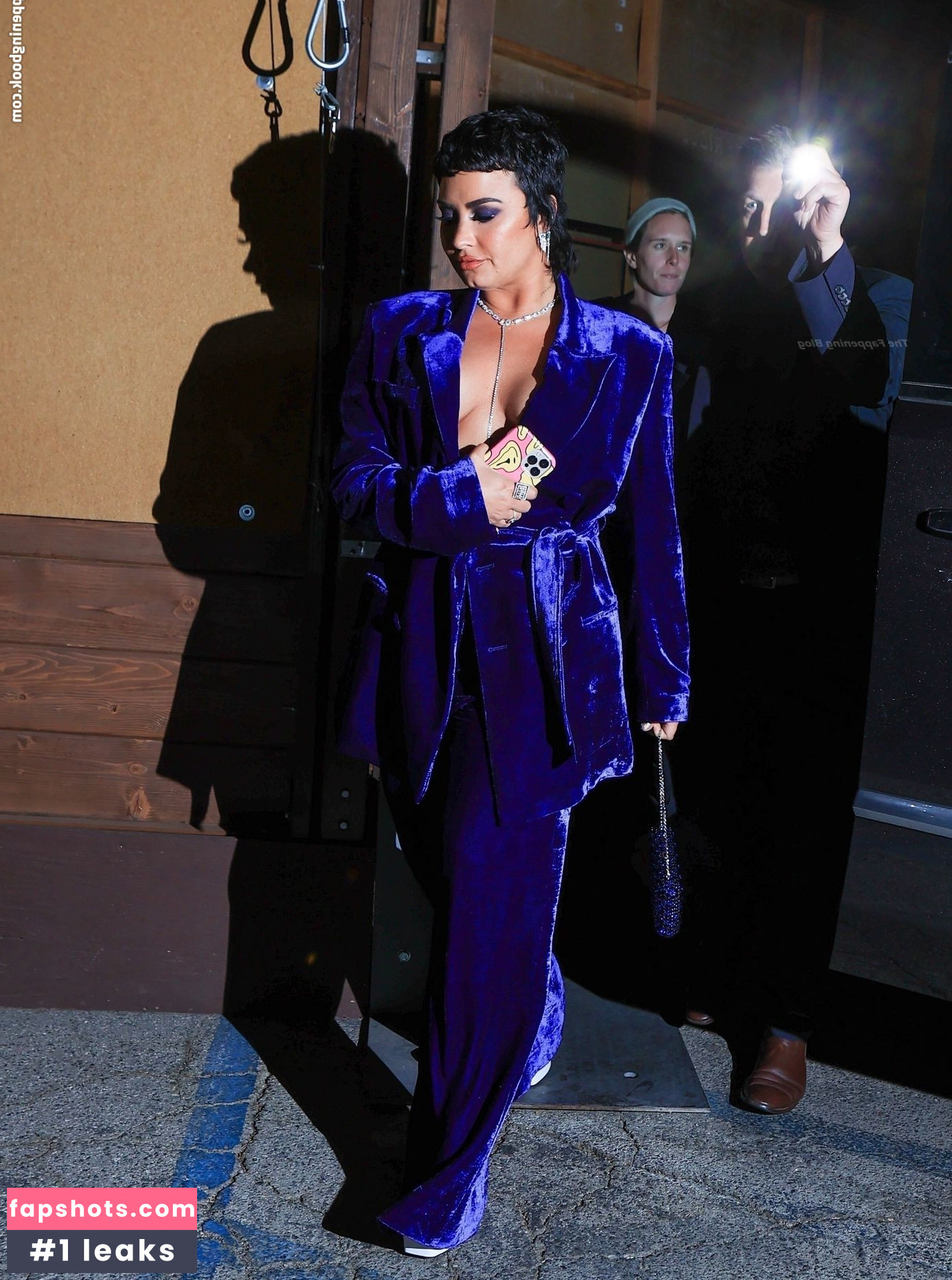 Demi Lovato gallery photo #883