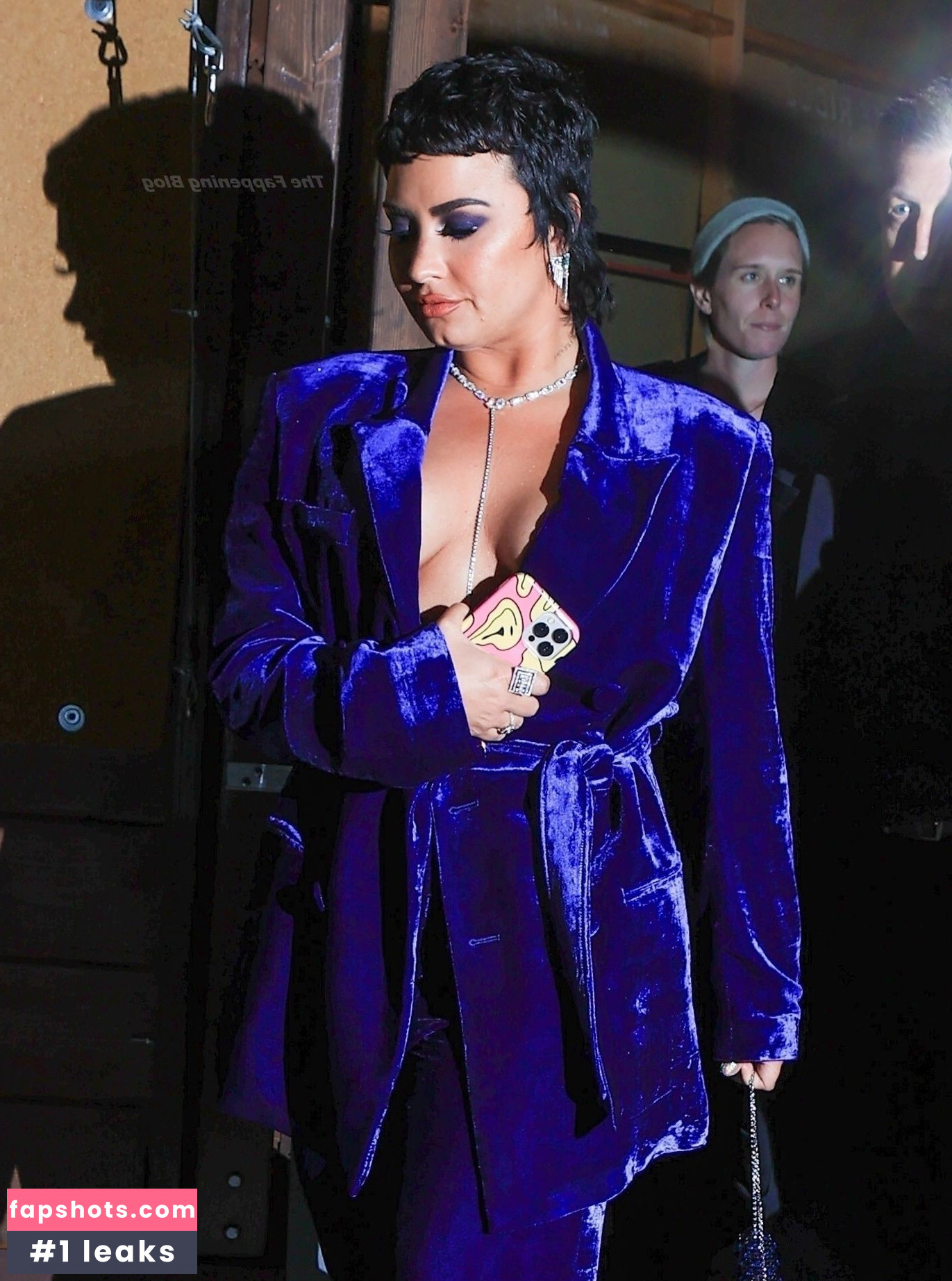 Demi Lovato gallery photo #886