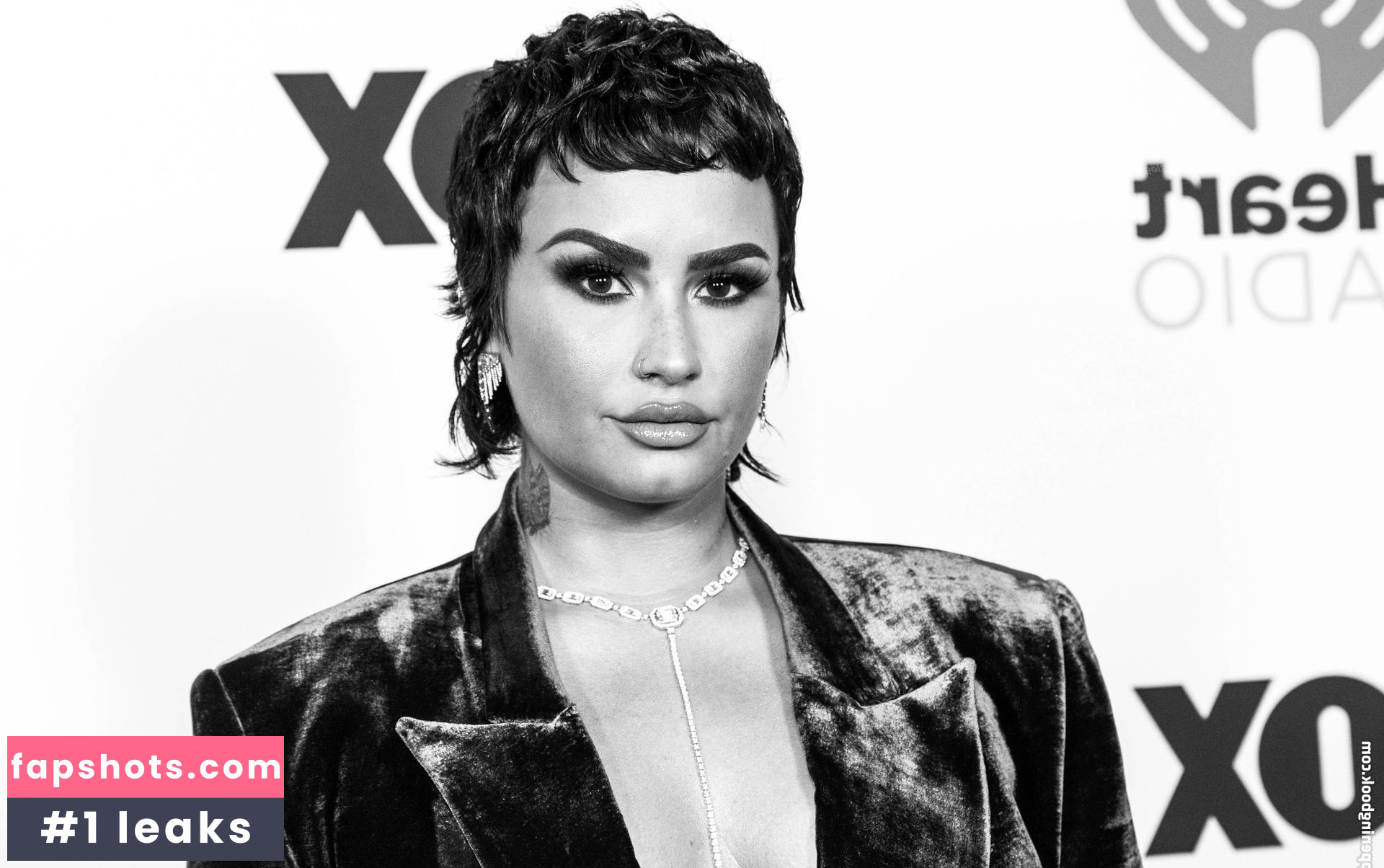 Demi Lovato gallery photo #919