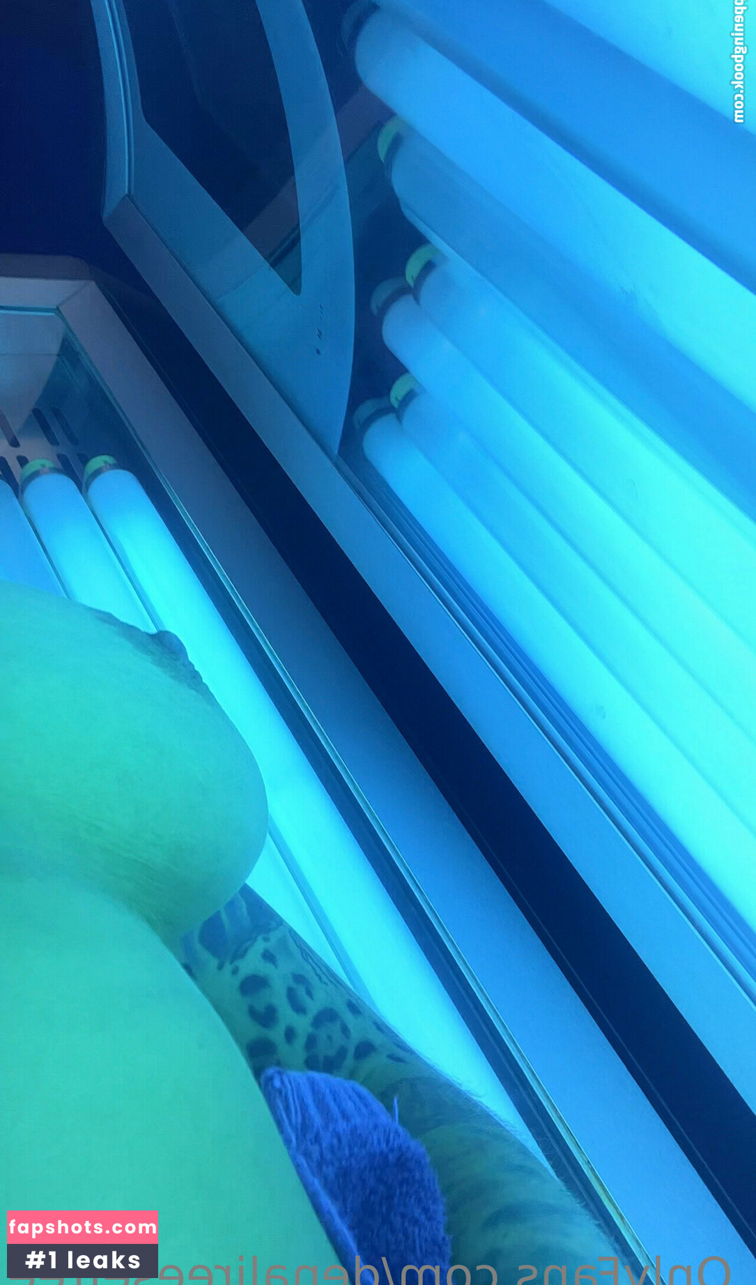 denalireesefree Nacktheit OnlyFans Fotos #30 - Fapshots