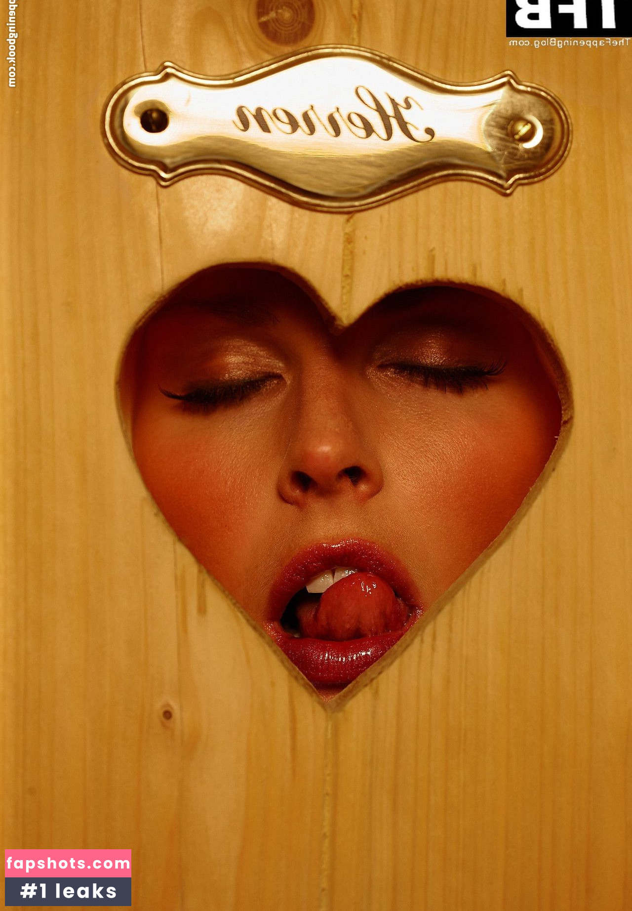 Denise Cotte gallery photo #6