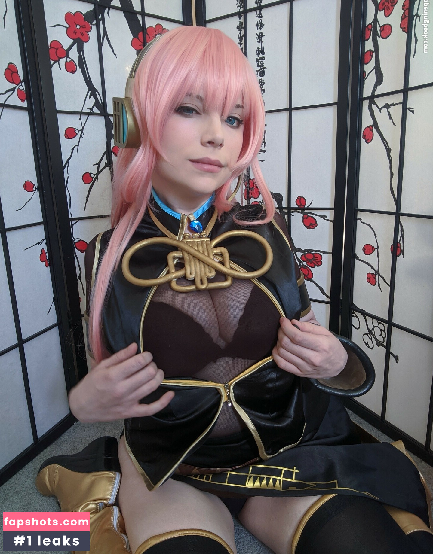 Dera Megurine gallery photo #60