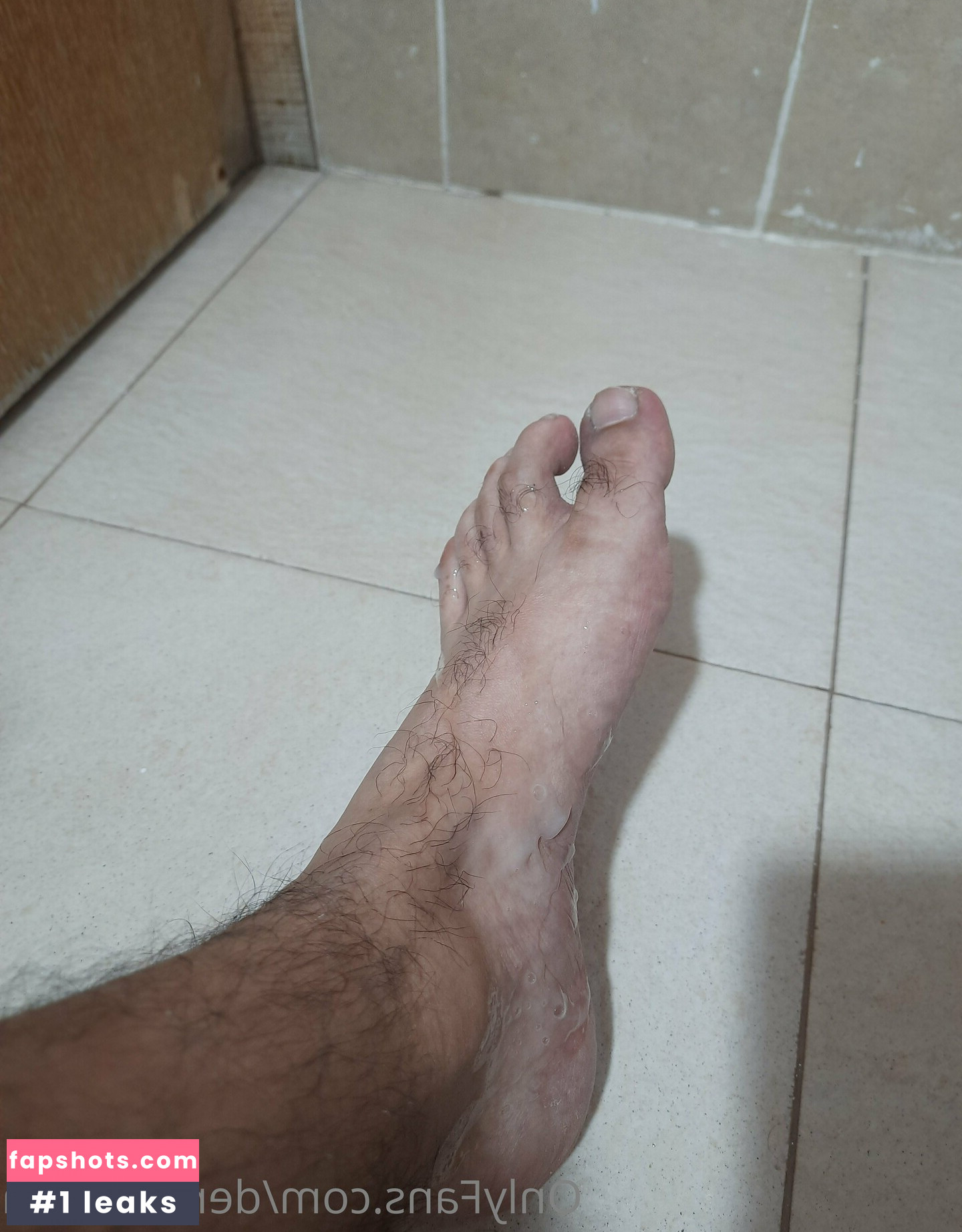 dervidevega gallery photo #3