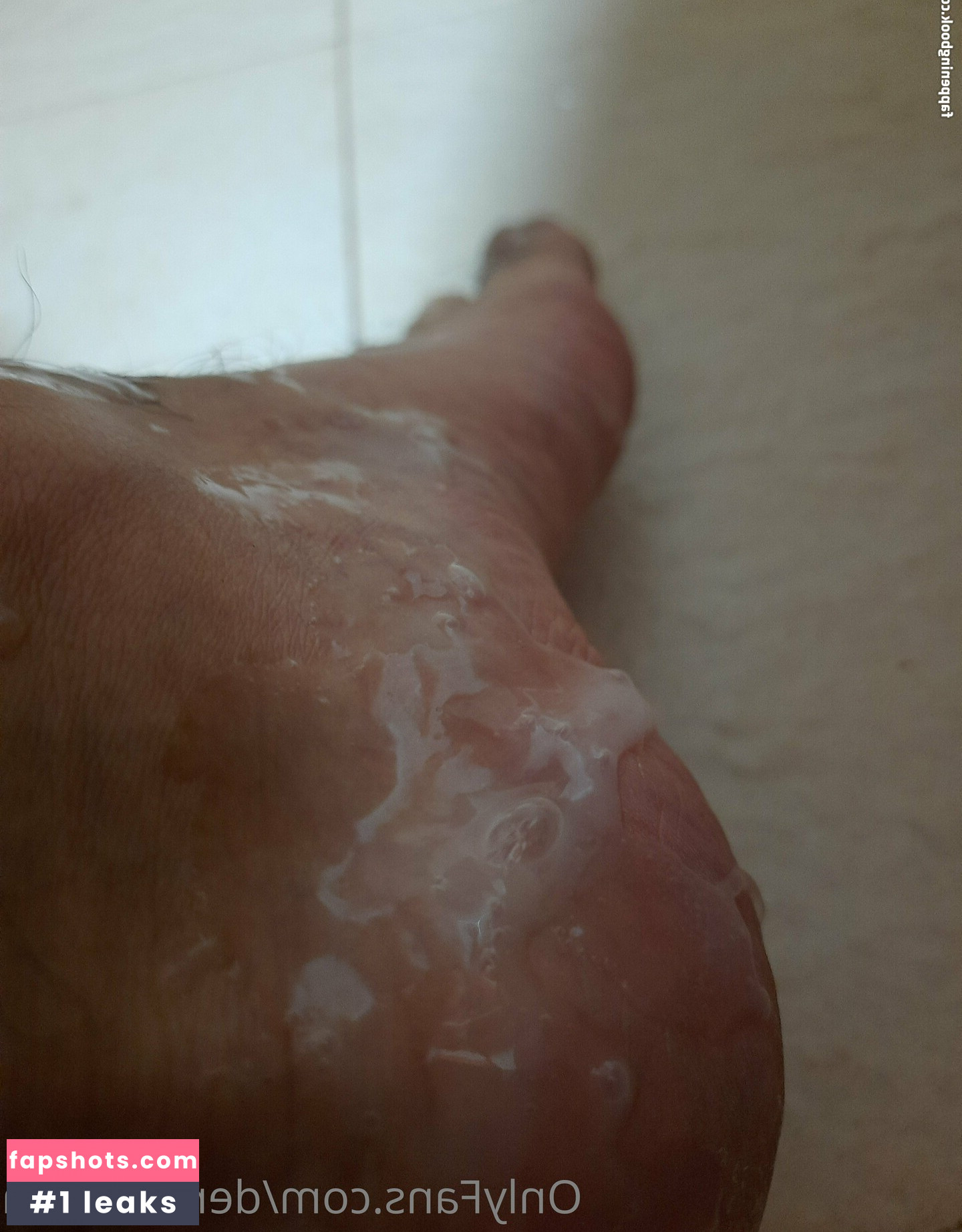 dervidevega gallery photo #4