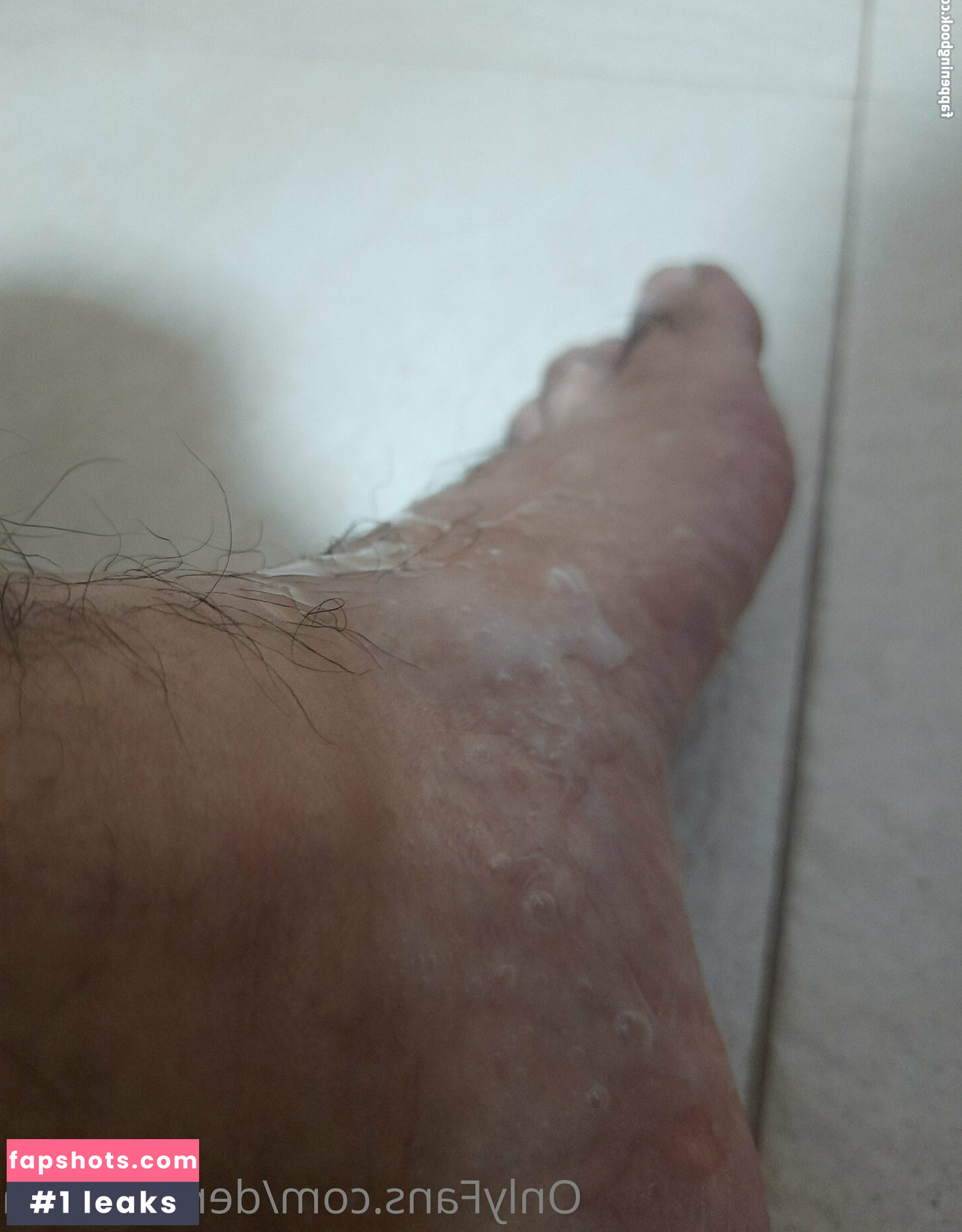 dervidevega gallery photo #5