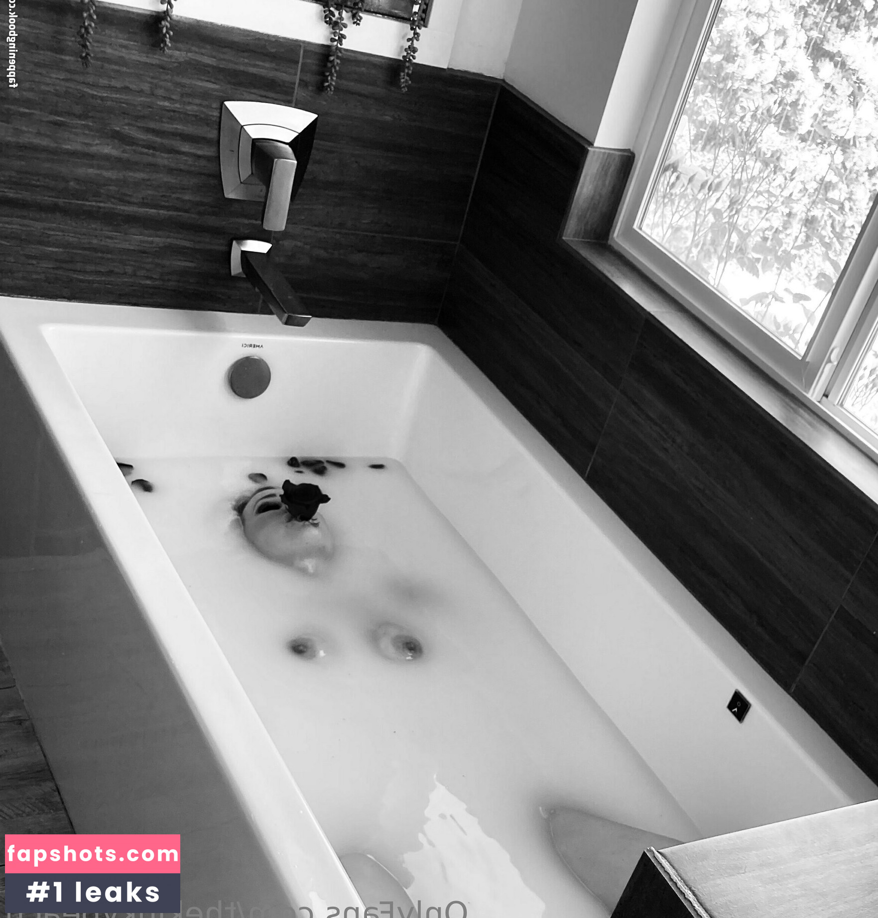 desireenoel.free gallery photo #19