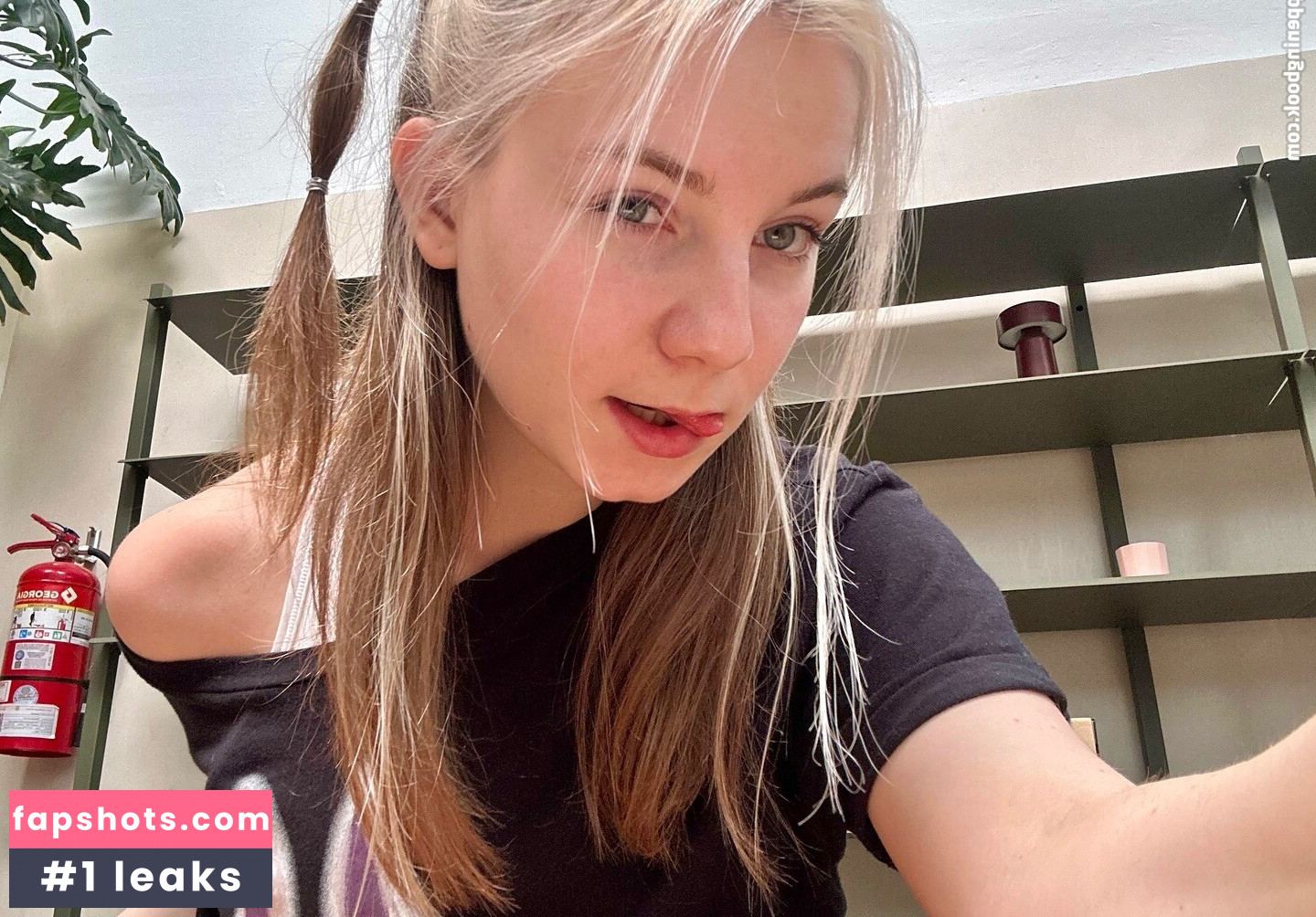 DevDasha gallery photo #12