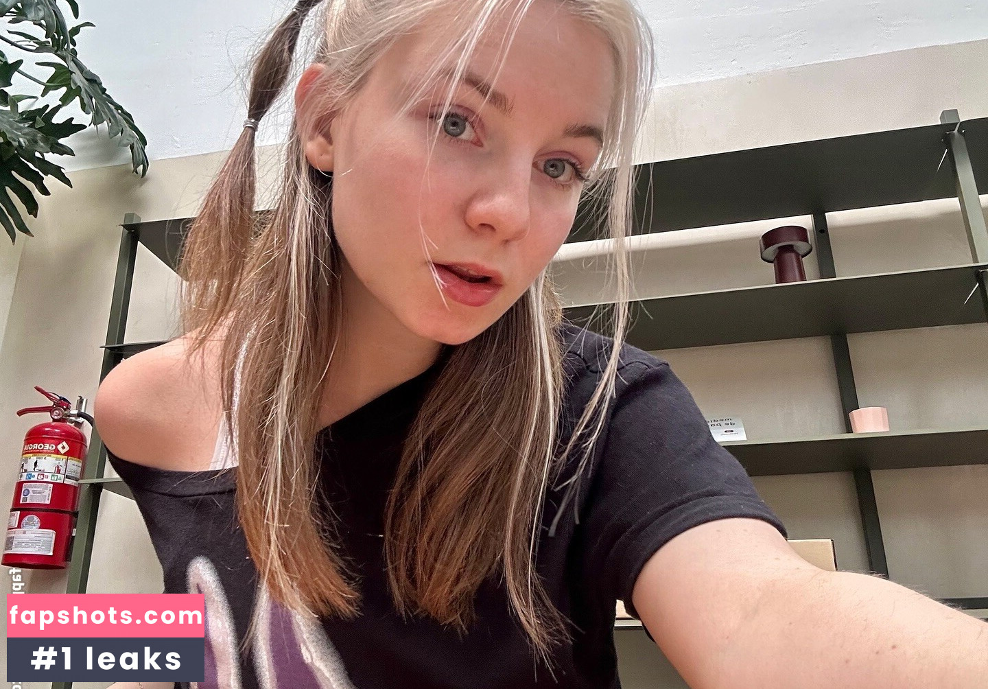 DevDasha gallery photo #6